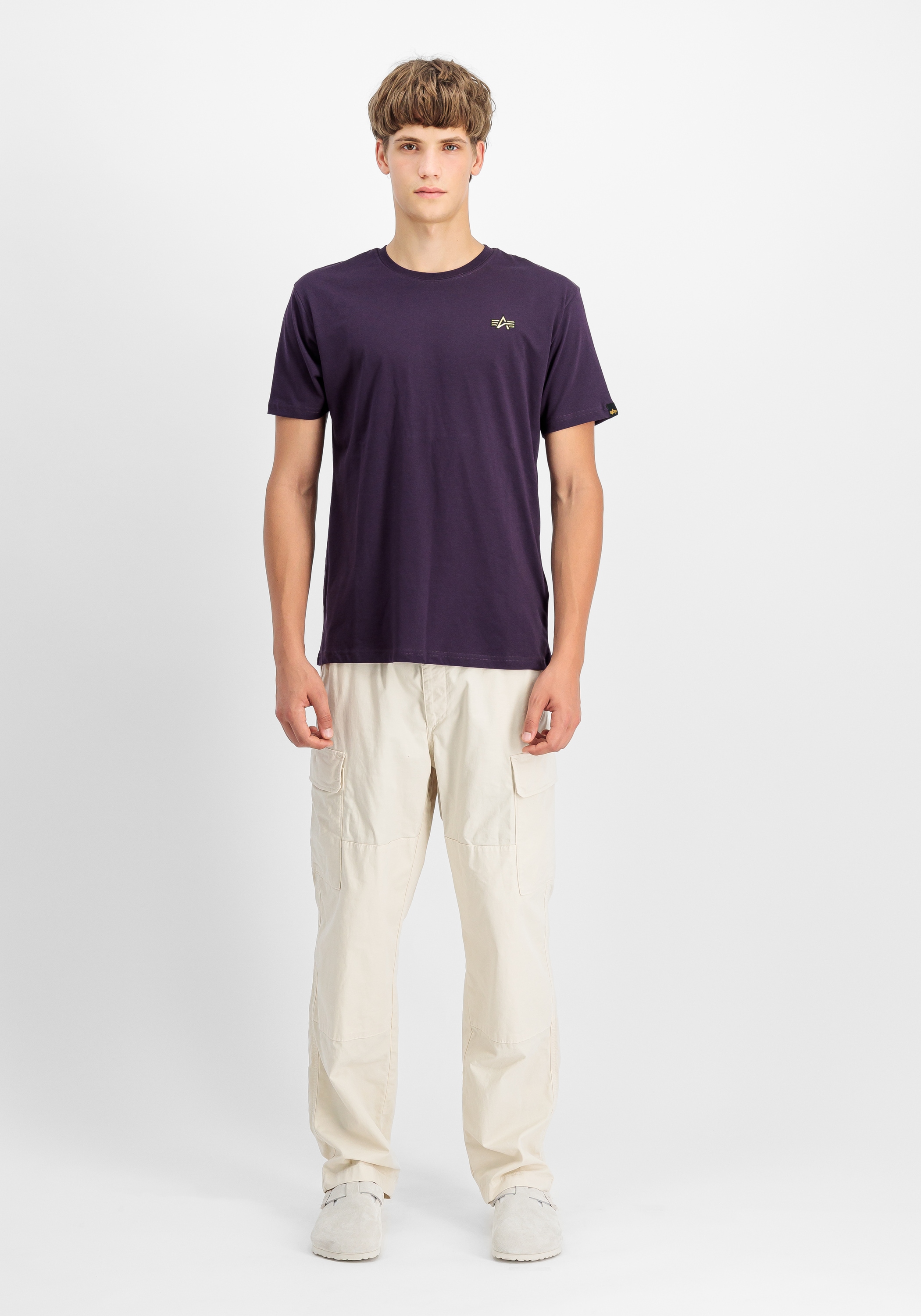 Alpha Industries T-Shirt »3D Small Logo T-Shirt T-Shirt«