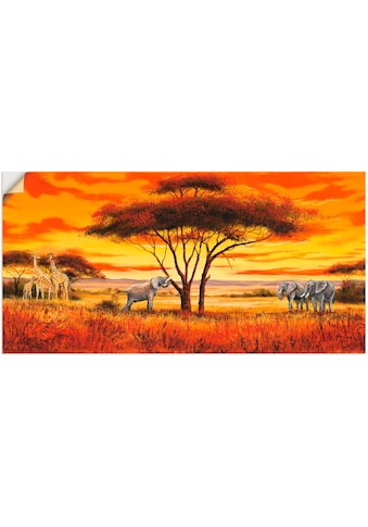 Artland Wandbild »Afrikanische Landschaft II«, Afrika, (1 St.), in vielen Größen &... kaufen