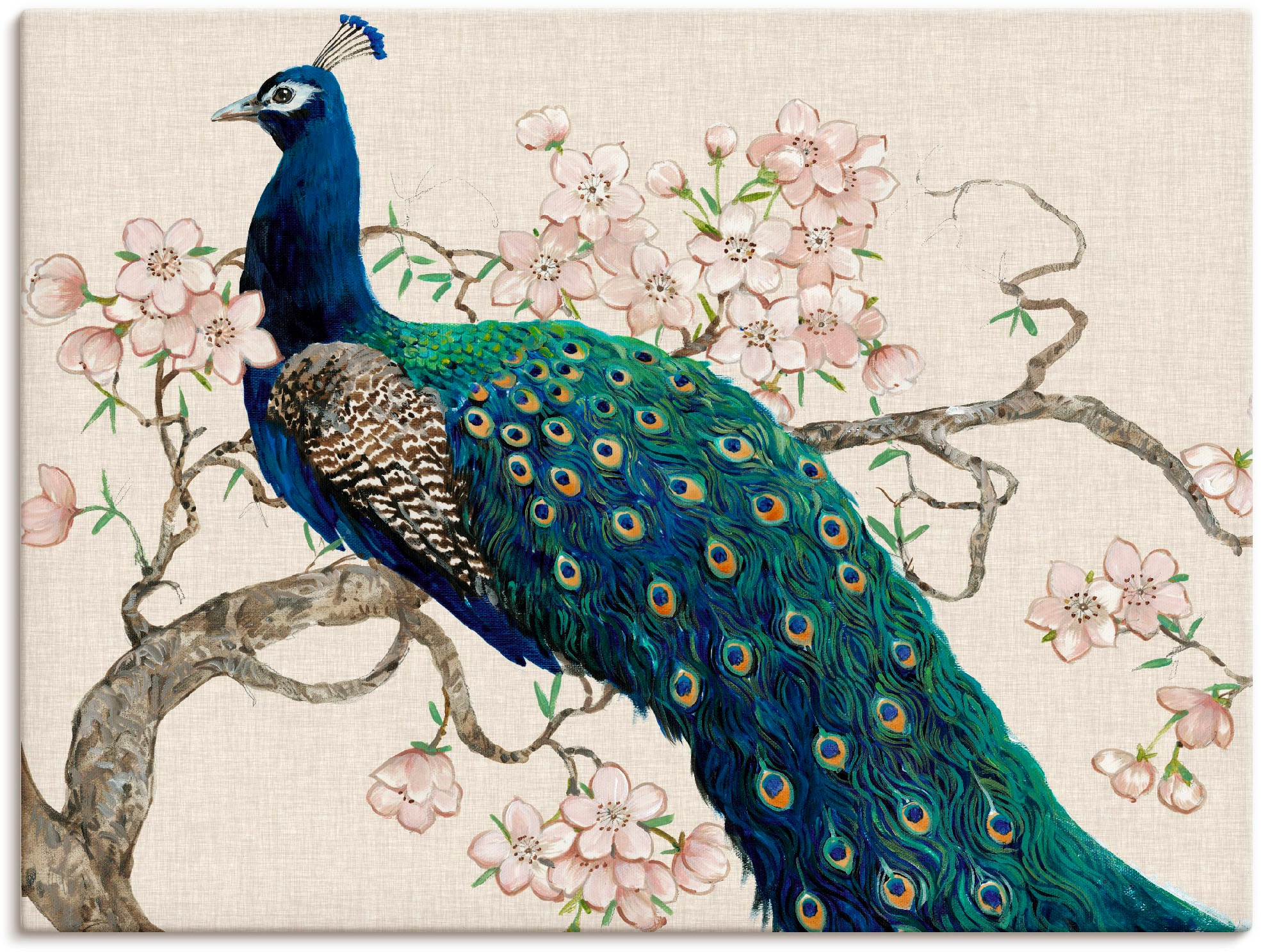 Artland Wandbild »Pfau & Blüten II«, Vögel, (1 St.), in vielen Größen & Produktarten - Alubild / Outdoorbild für den Außenbereich, Leinwandbild, Poster, Wandaufkleber / Wandtattoo auch für Badezimmer geeignet