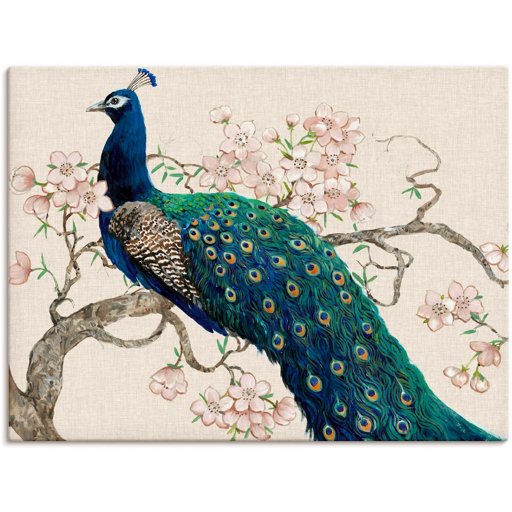 Artland Wandbild »Pfau & Blüten II«, Vögel, (1 St.)