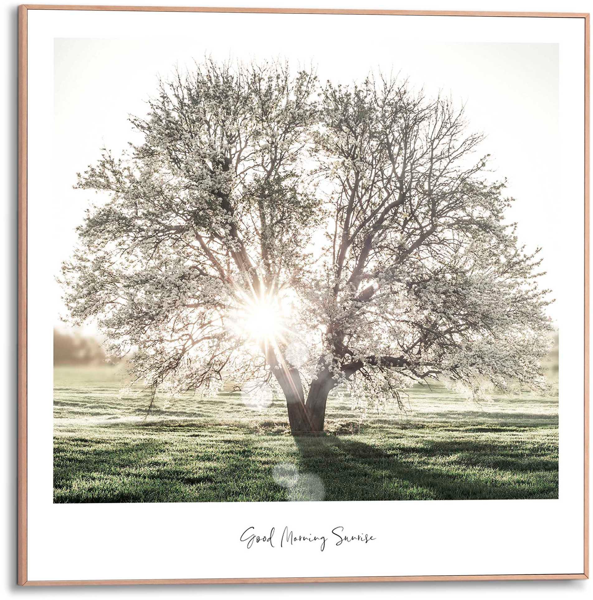 Reinders! Poster »Morgensonne«