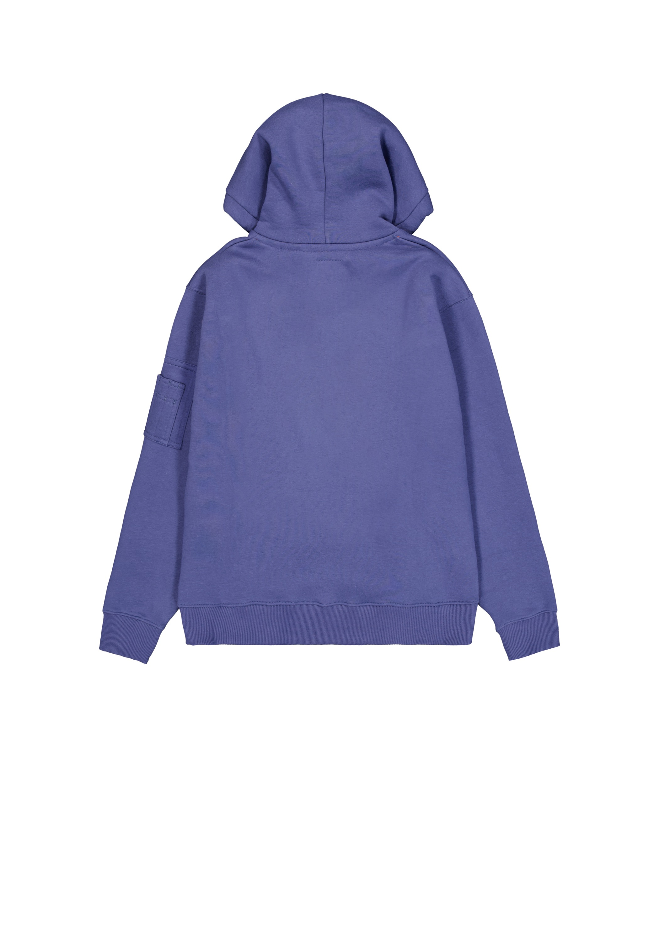 Alpha Industries Hoodie »Alpha Puff Print Hoodie«