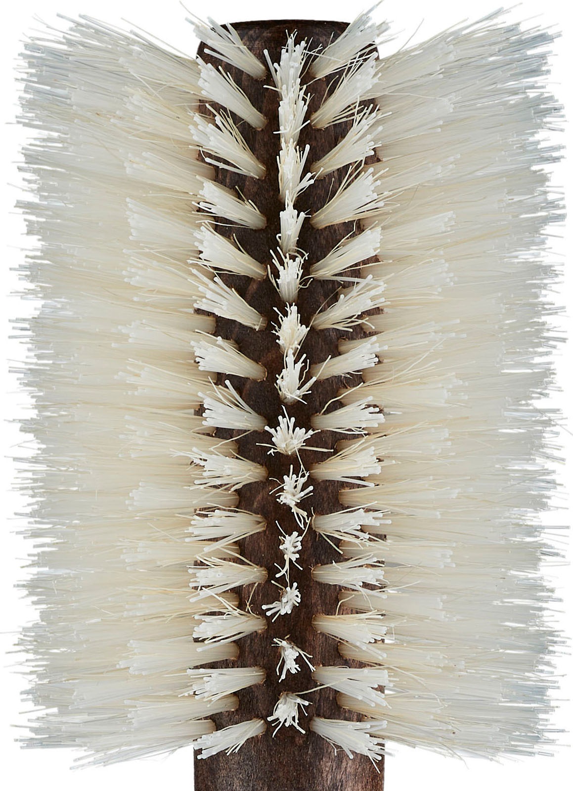 Regincós Rundbürste »e.CORK Blonde«