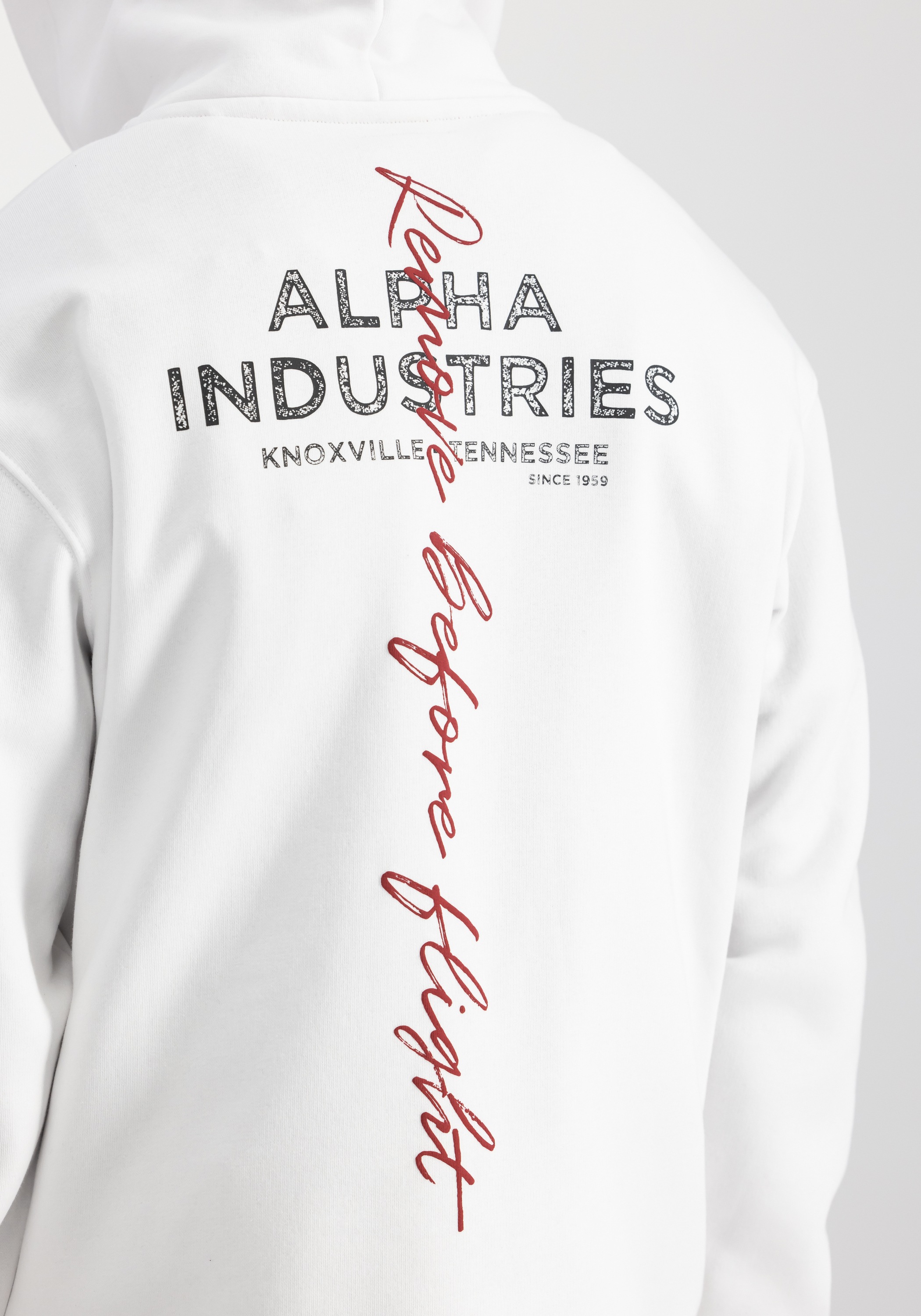 Alpha Industries Hoodie »Alpha Industries Men - Hoodies Signature Backprint Hoodie«