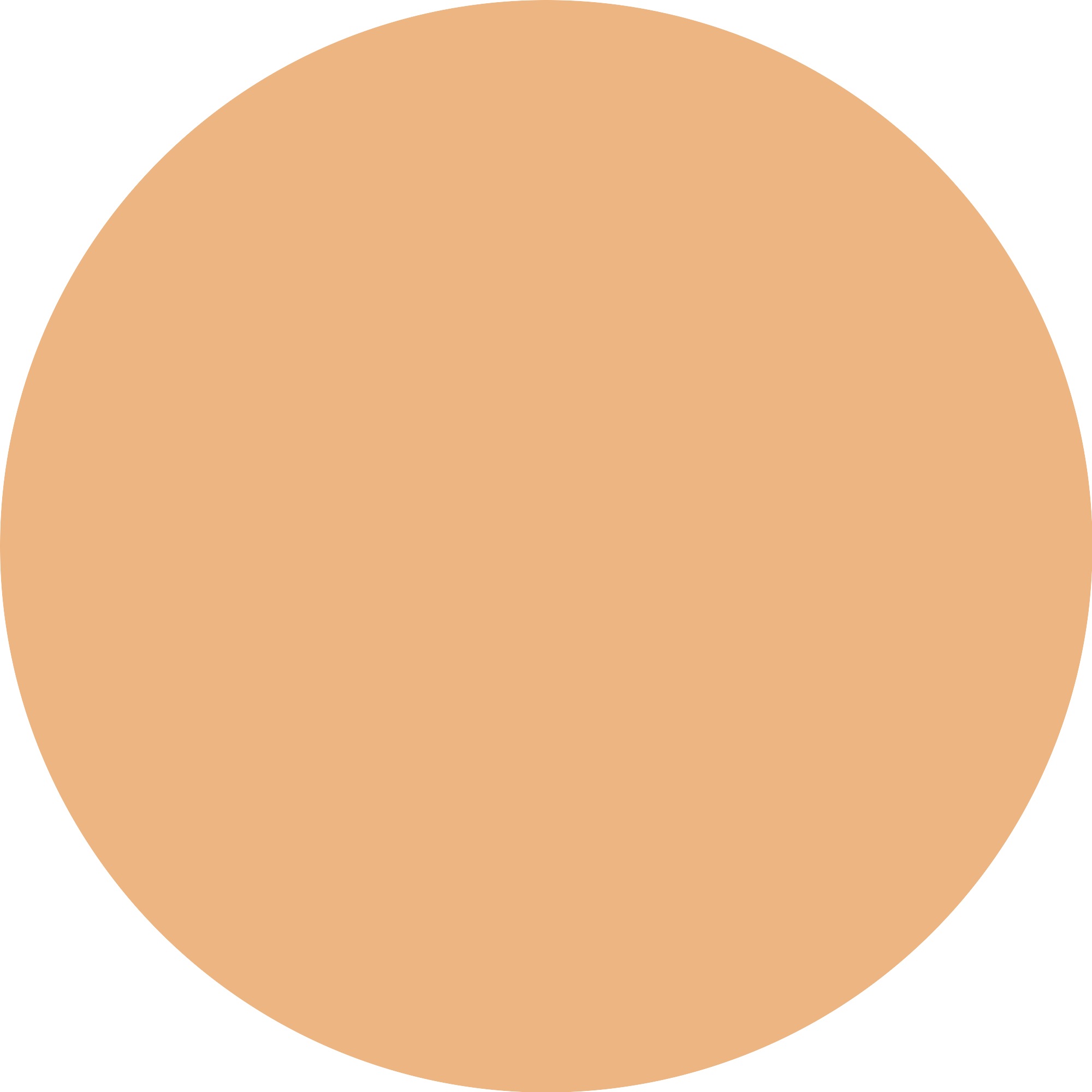 Essence Foundation »SKIN tint«, (3er Pack), mit veganen Inhaltsstoffen