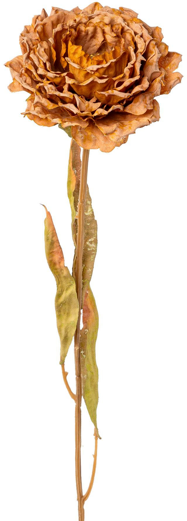 Creativ green Kunstblume »Peonie«