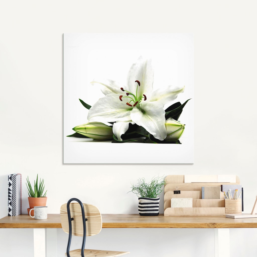 Artland Glasbild »Große Lilie«, Blumen, (1 St.)