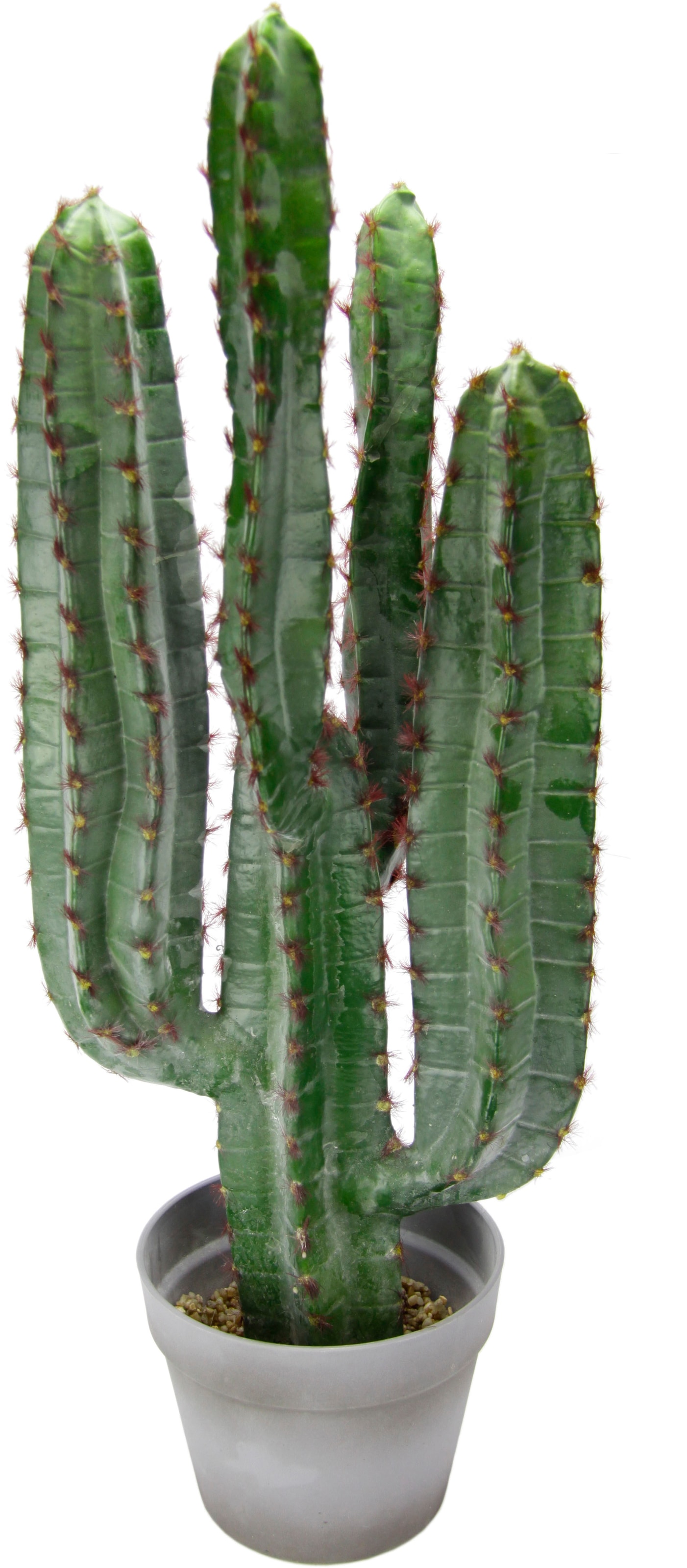 I.GE.A. Kunstpflanze »Säulenkaktus«, (1 St.), 70 cm kaufen im OTTO Online  Shop