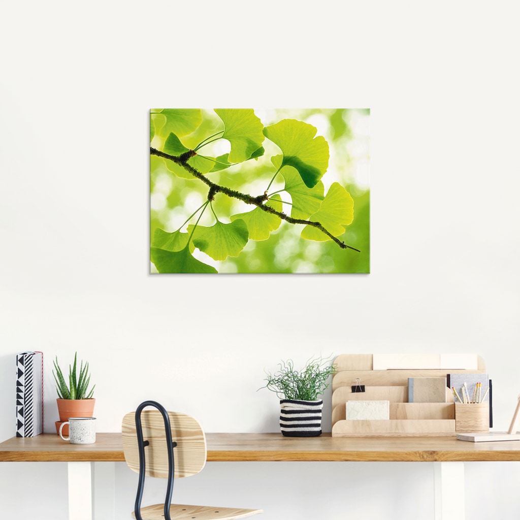 Artland Glasbild »Ginkgo«, Blätter, (1 St.)