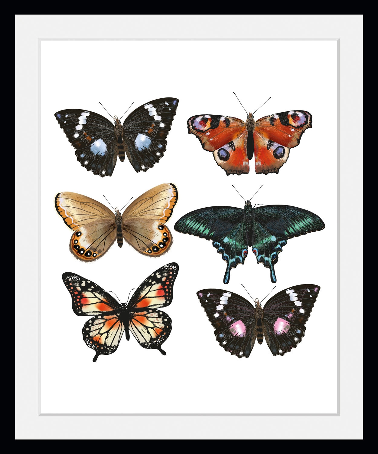 queence Bild »Jana«, Schmetterlinge-Kunst-Insekten-historische Ereignisse, (1 St.), HD Premium Poster-Druck inkl. Holzrahmen
