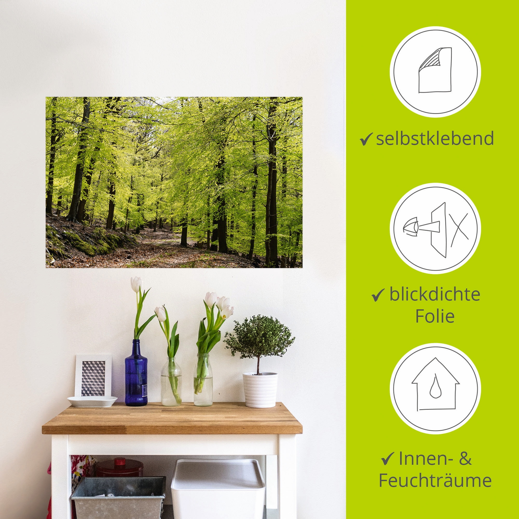 Artland Wandbild »Die Buchen im Frühling«, Wald, (1 St.), als Alubild, Outdoorbild, Leinwandbild, Poster, Wandaufkleber
