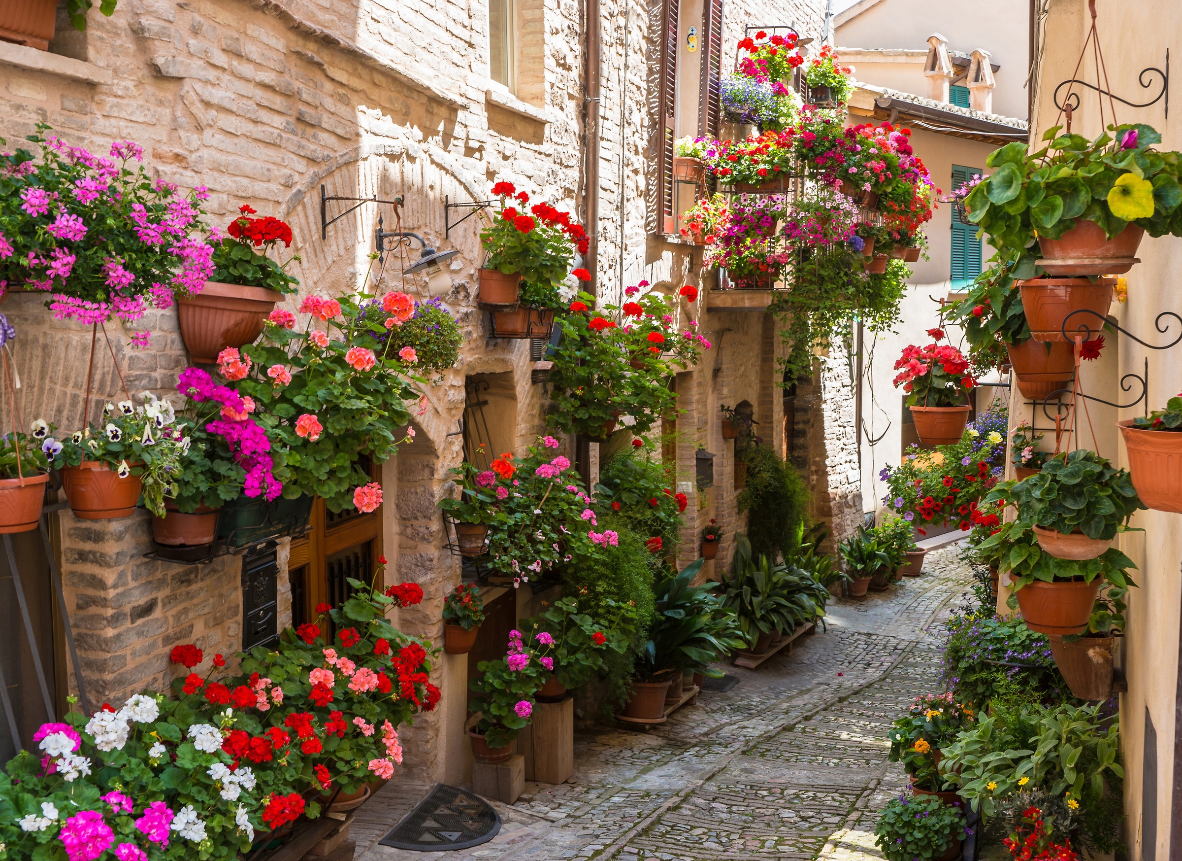 Papermoon Fototapete »Flower Alley in Spello«