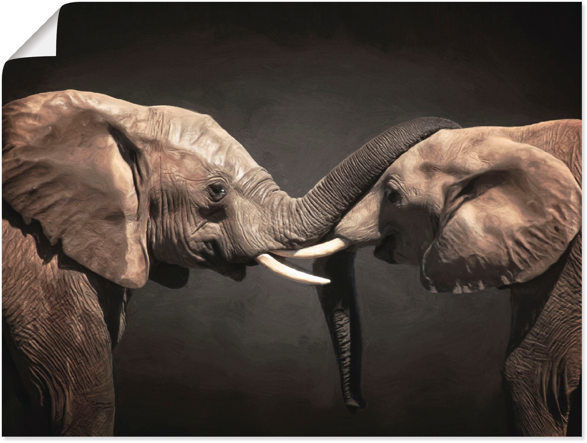 Wandbild »Zwei Elefanten«, Wildtiere, (1 St.), als Leinwandbild, Poster, Wandaufkleber...