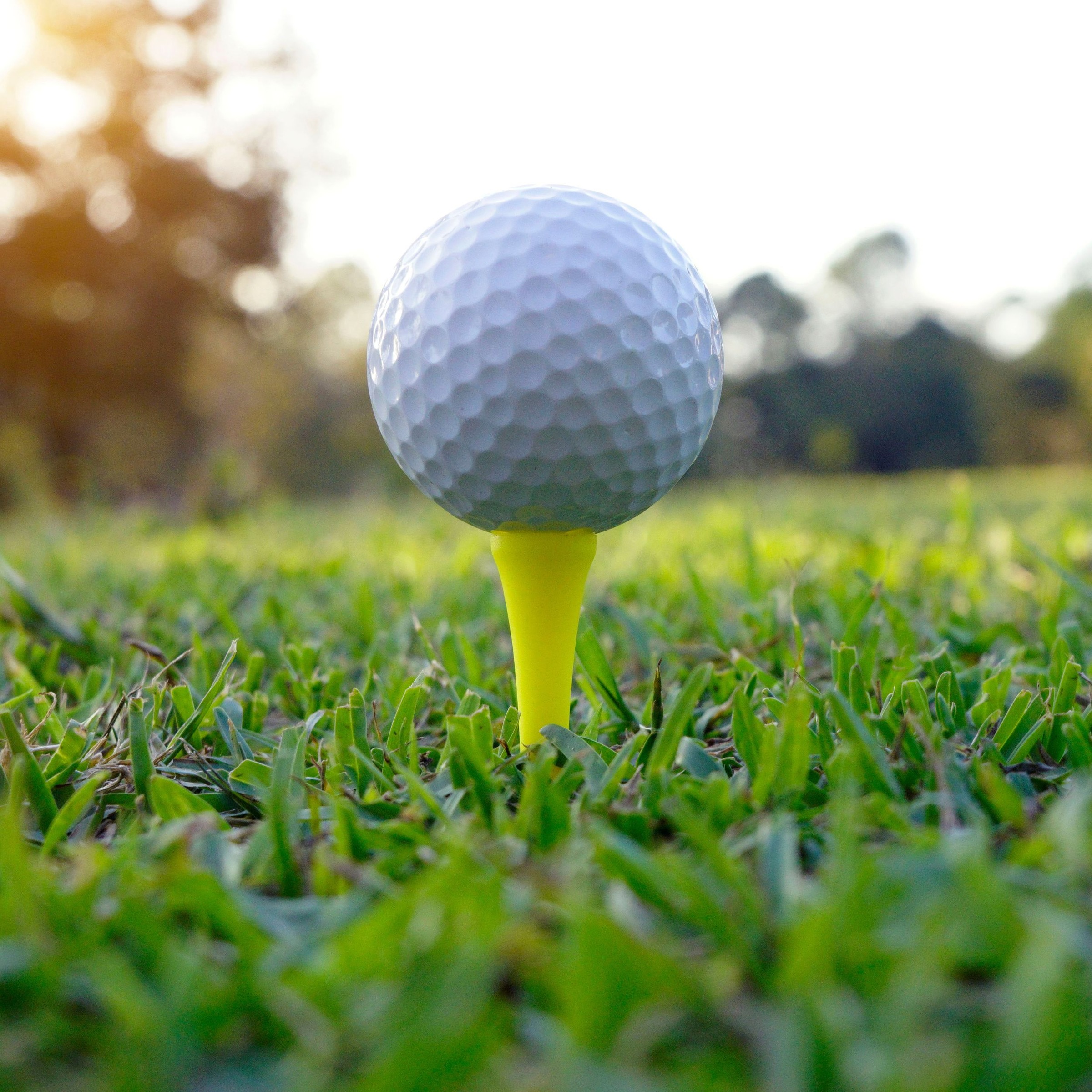 L.A. Sports Golftee »Holz-Tees 70 mm lang in verschiedenen Farben (500 Stück)«, (Spar-Set, 500 St., 500 Tees), Bruchfest, ideale Höhe für optimale Ballposition