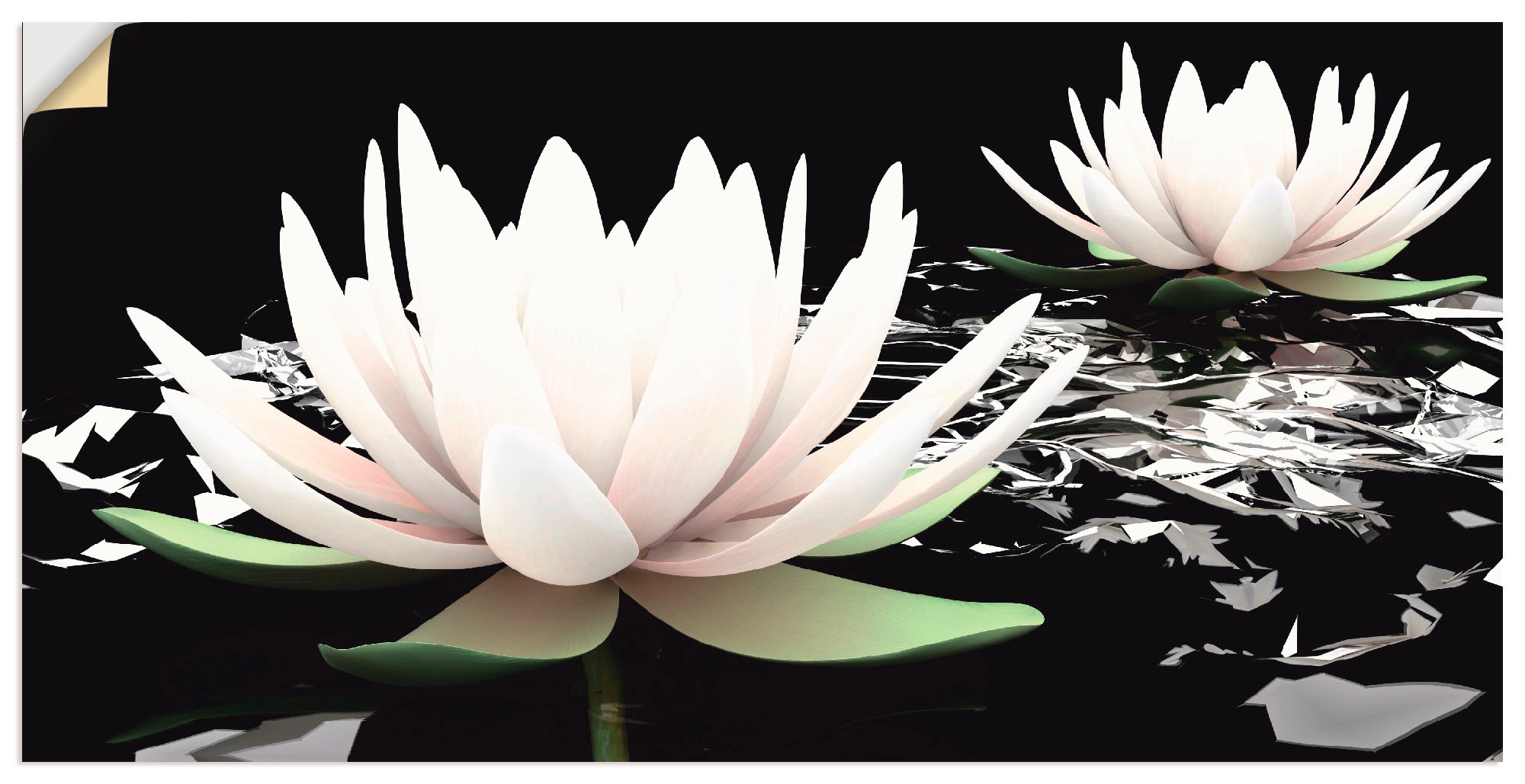 Wandbild »Zwei Lotusblumen auf dem Wasser«, Blumen, (1 St.), als Alubild, Outdoorbild,...