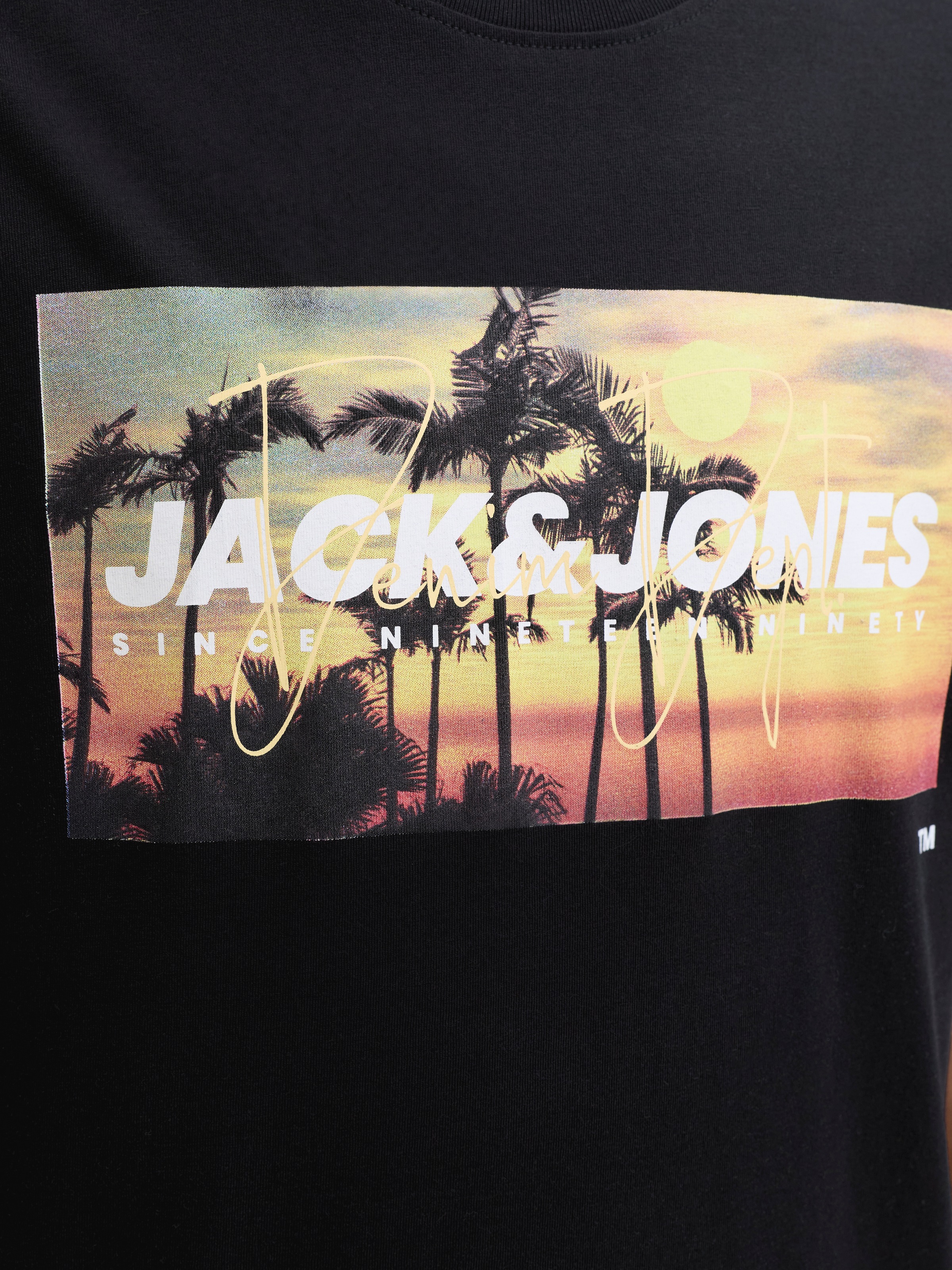 Jack & Jones PlusSize Rundhalsshirt »JJINDIANA TEE SS CREW NECK PLS« Baumwolle, regular fit