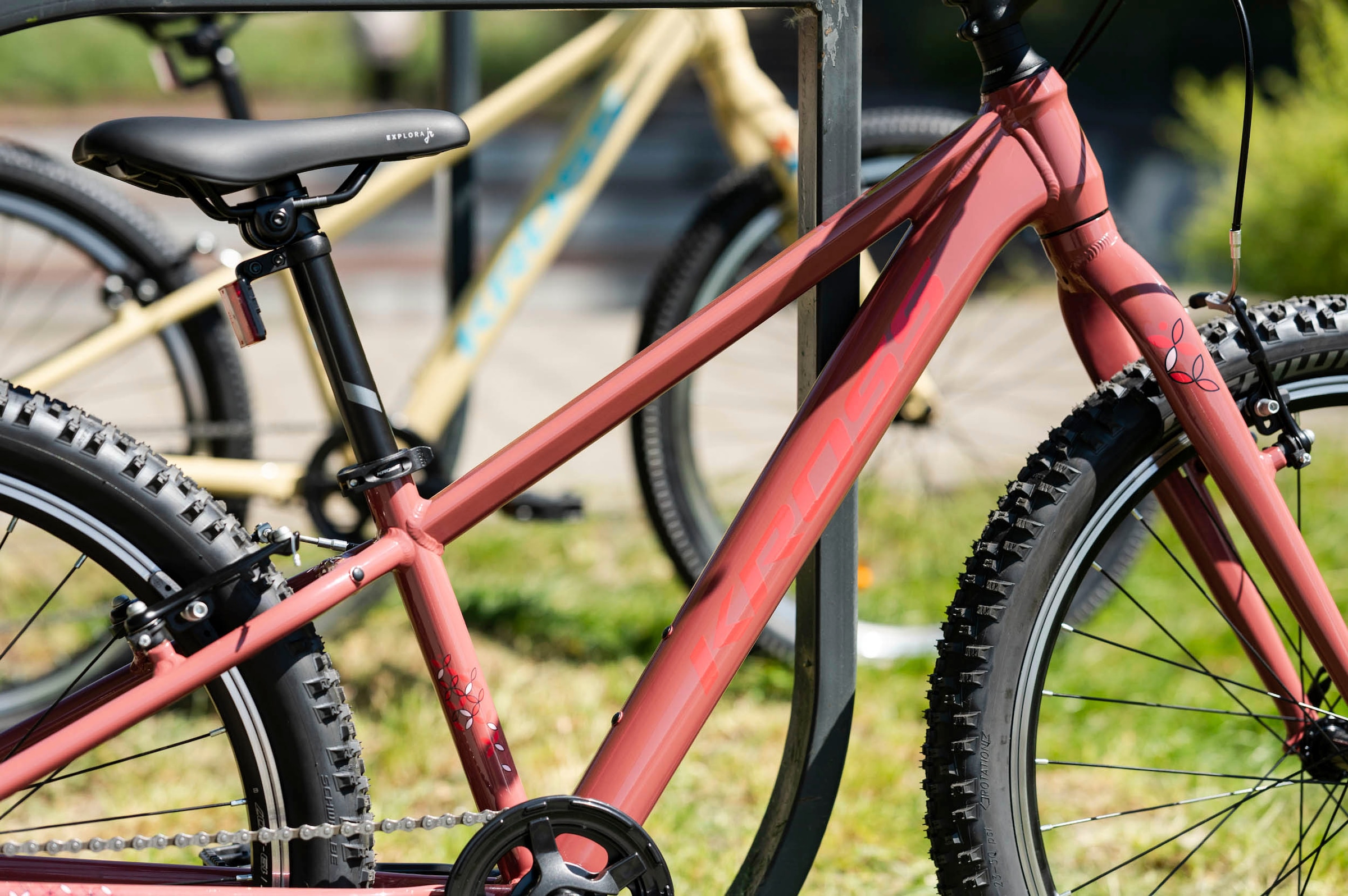 Kross Kinderfahrrad »Kinder-MTB Lea Jr 1.0«, 8 Gang, Shimano, TOURNEY TX800 Schaltwerk, Kettenschaltung