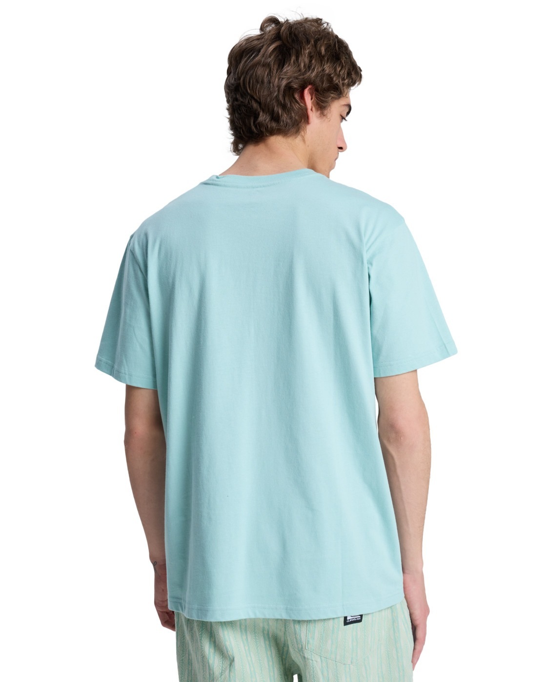 Quiksilver T-Shirt »EV Vista«