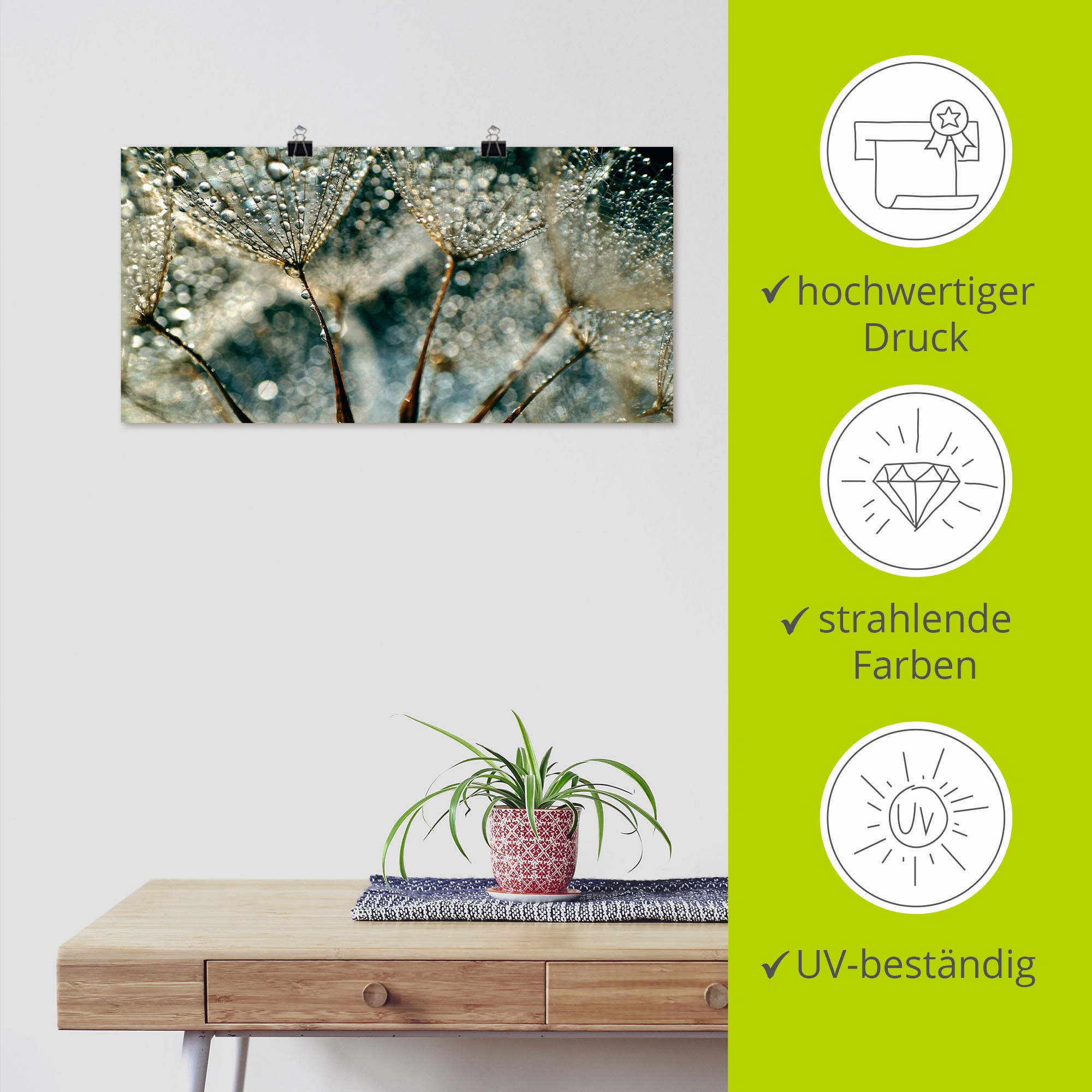 Artland Wandbild »Pusteblume Regenschauer«, Blumen, (1 St.), als Alubild, Outdoorbild, Leinwandbild, Poster, Wandaufkleber