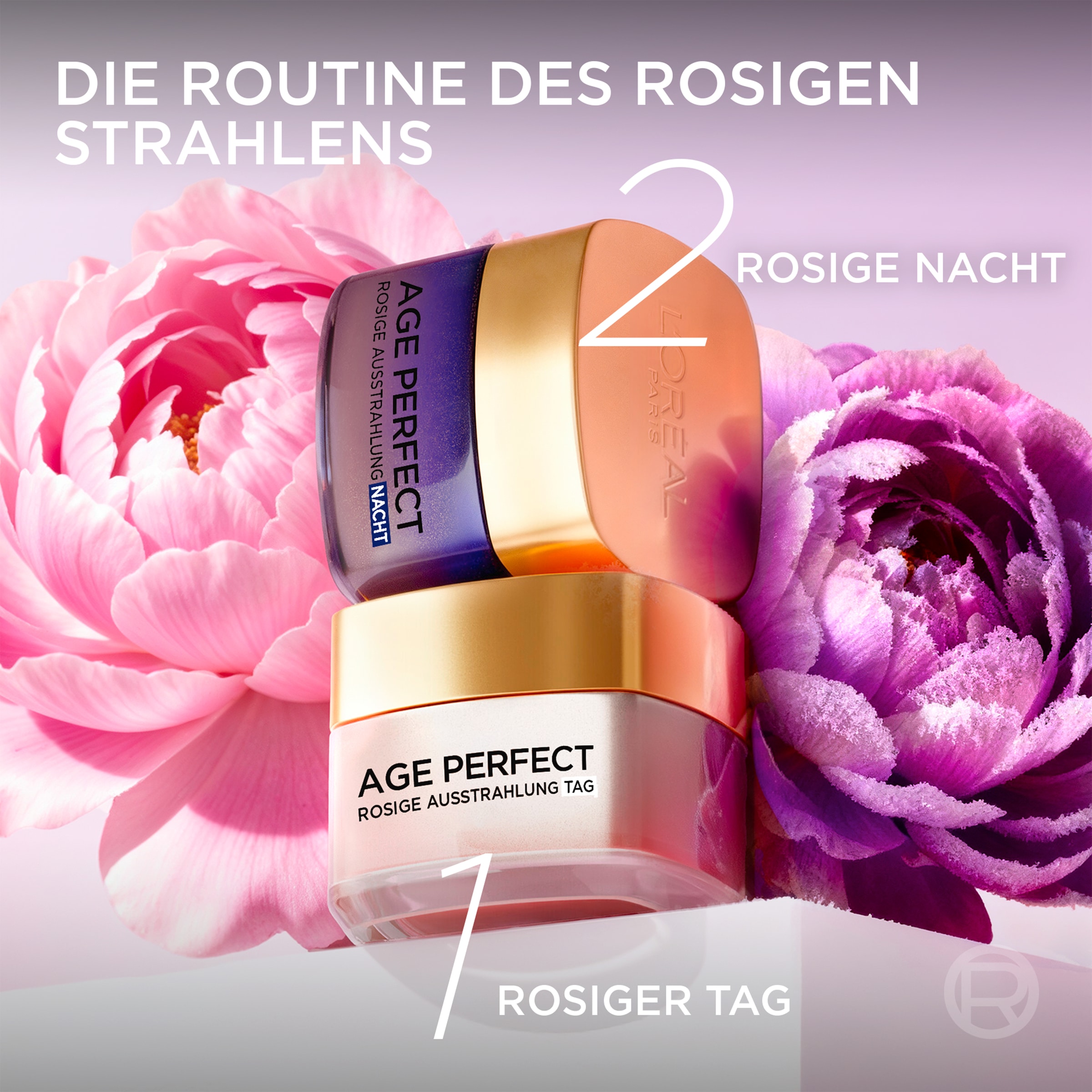 L'ORÉAL PARIS Feuchtigkeitscreme »AGE PERFECT GOLDEN AGE ROSÉ-NACHTPFLEGE« mit Neo-Calcium