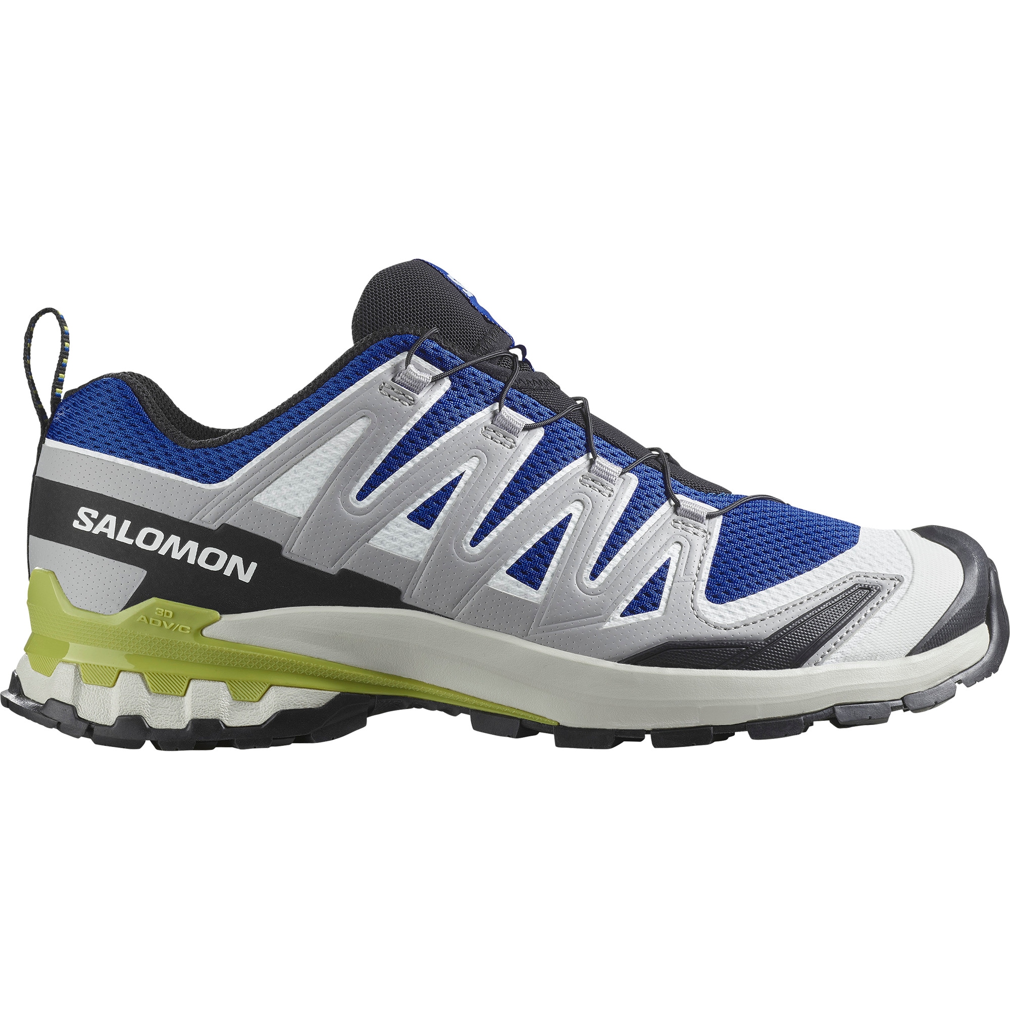 Salomon Trailrunningschuh »XA PRO 3D V9«, wasserdicht