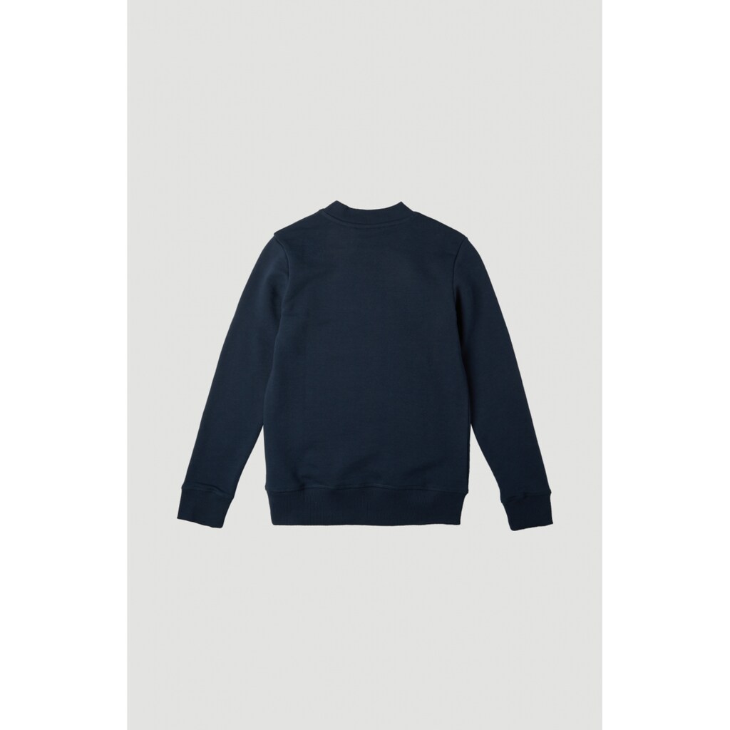 O'Neill Sweatshirt »All Year Crew Sweatshirt«