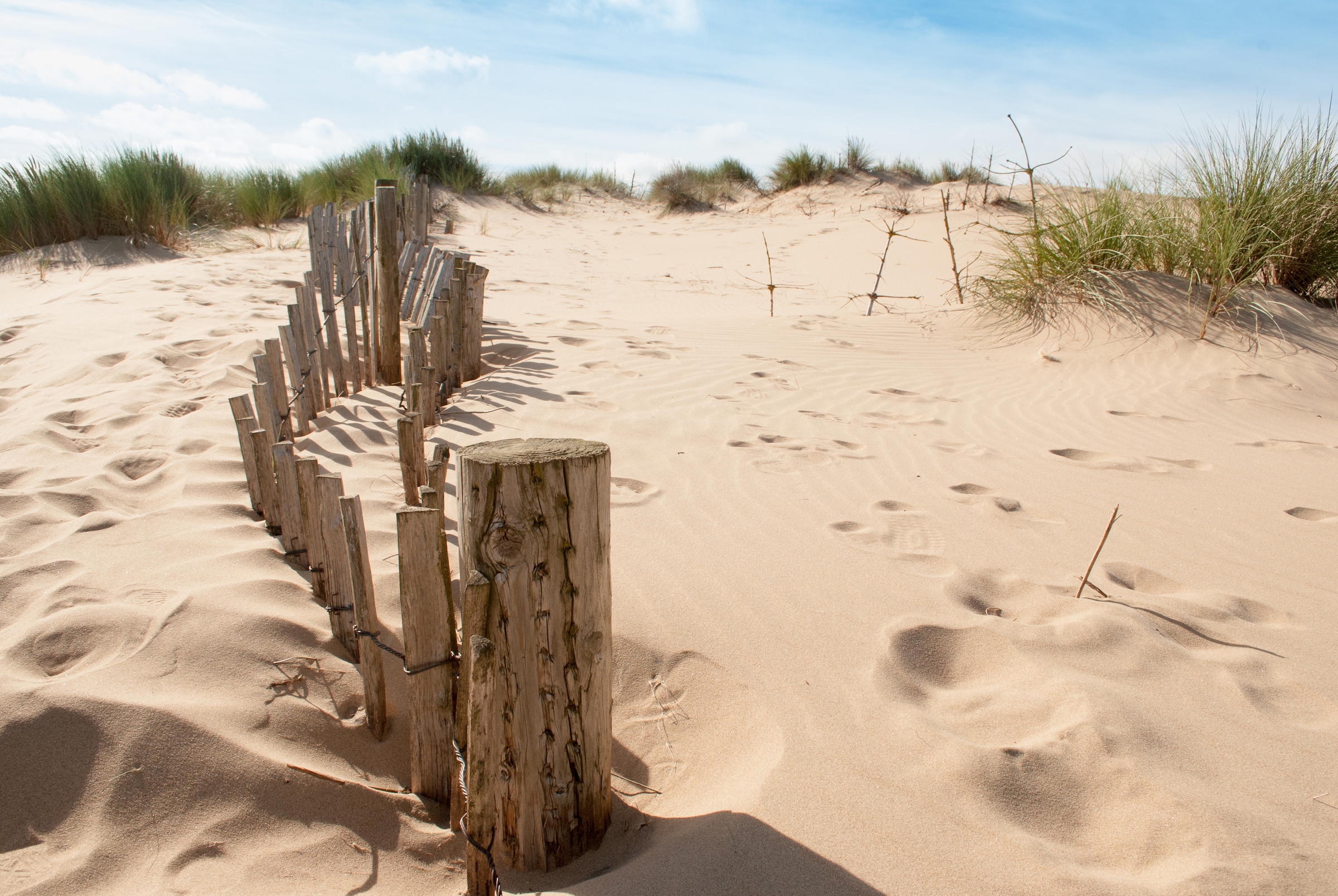 Fototapete »Dunes Sandy Beach«