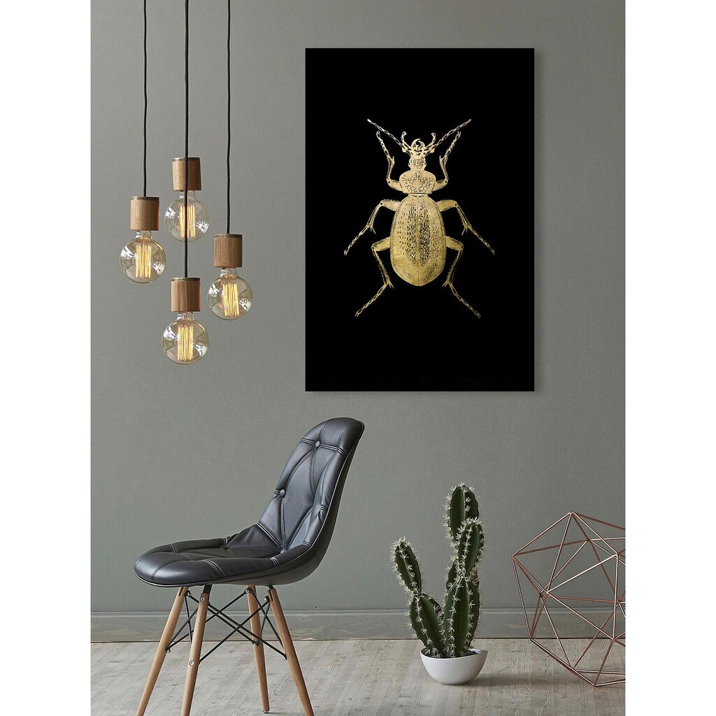 Leonique Acrylglasbild »Käfer«