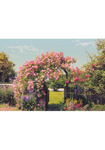 Komar Fototapete »Rose Garden«, bedruckt-Wald-geblümt, ausgezeichnet lichtbeständig kaufen