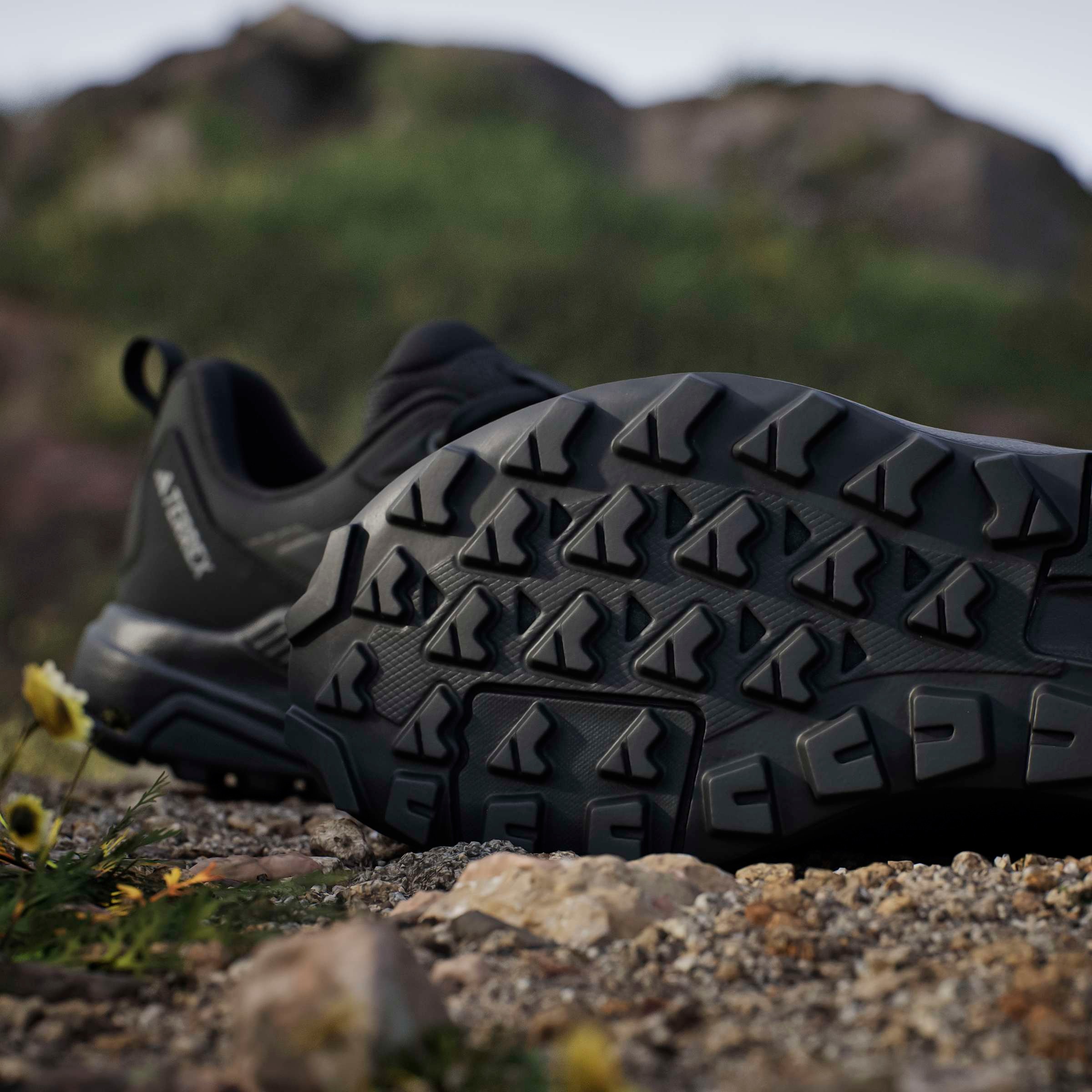 adidas TERREX Wanderschuh »TERREX ANYLANDER«