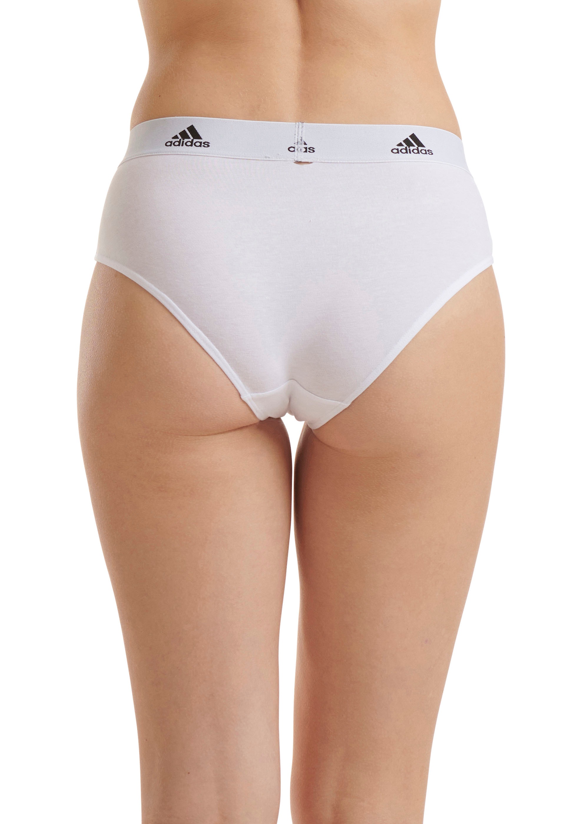 adidas Sportswear Bikinislip »"Sport Active Comfort Cotton"«, (3er Pack), Logo-Web-Bund, elastisches Single Jersey, schnelltrocknend