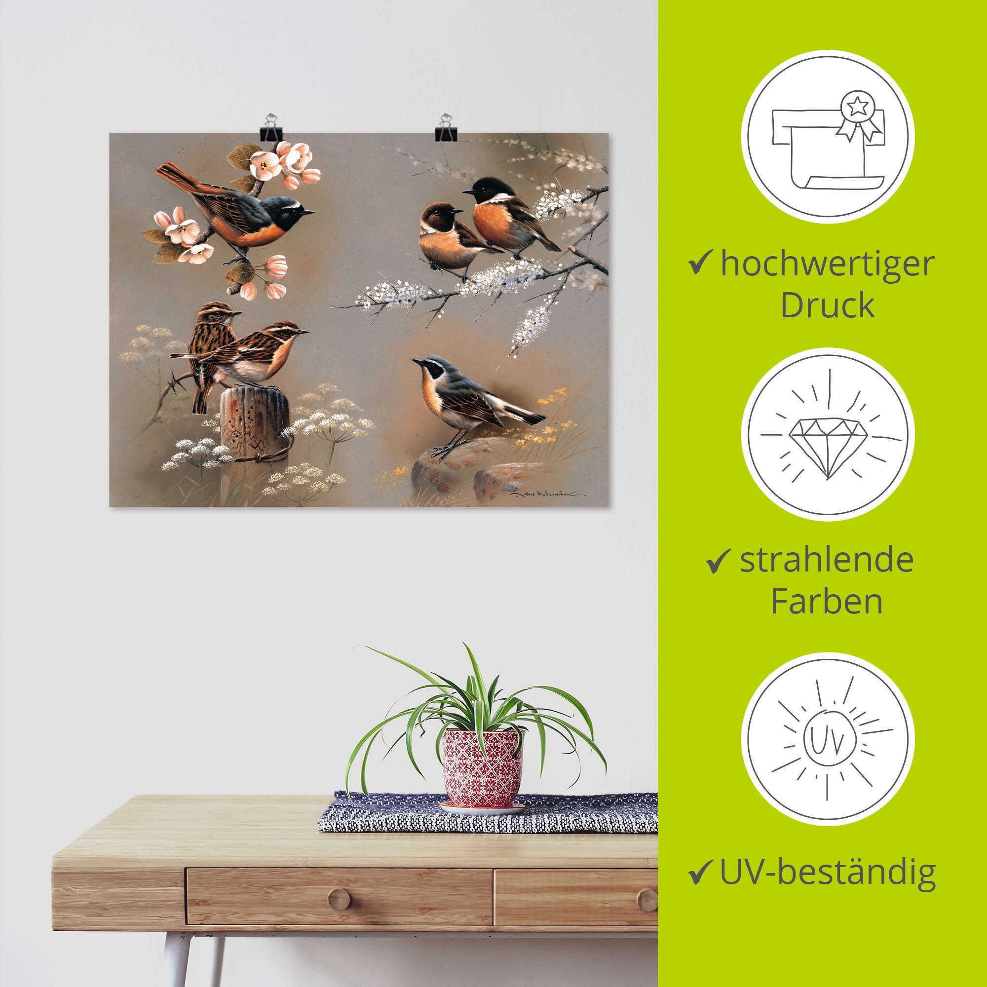 Artland Wandbild »Vogel Komposition«, Vögel, (1 St.), als Leinwandbild, Poster in verschied. Größen