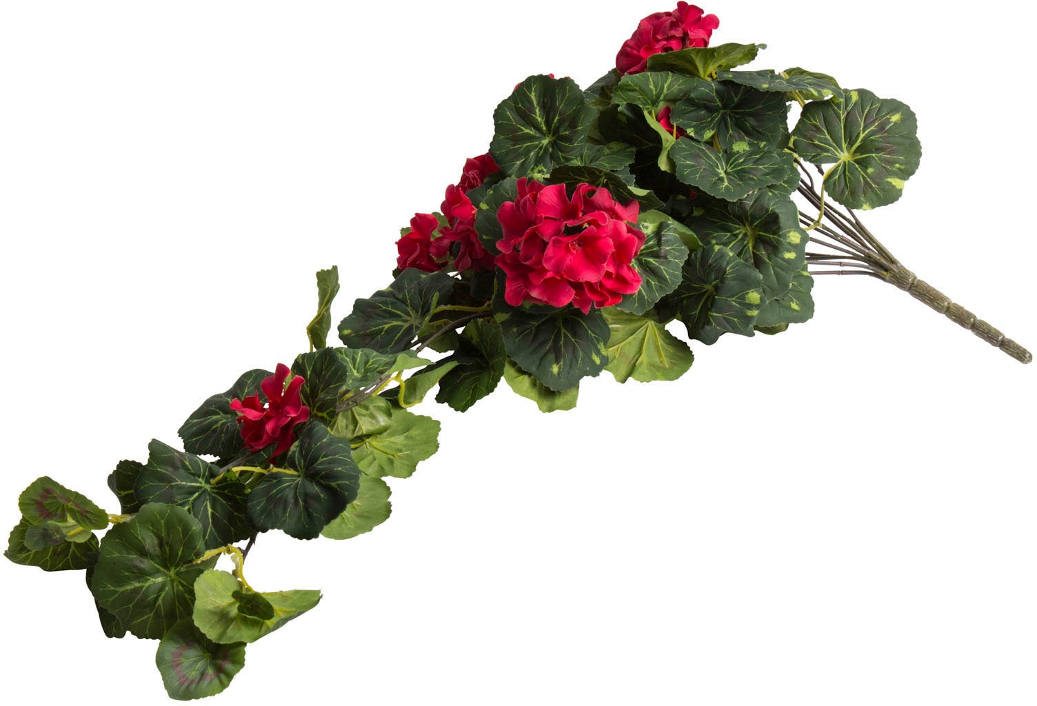 Botanic-Haus Kunstblume »Geranienhängebusch Stielen« bei mit 11 OTTO kaufen