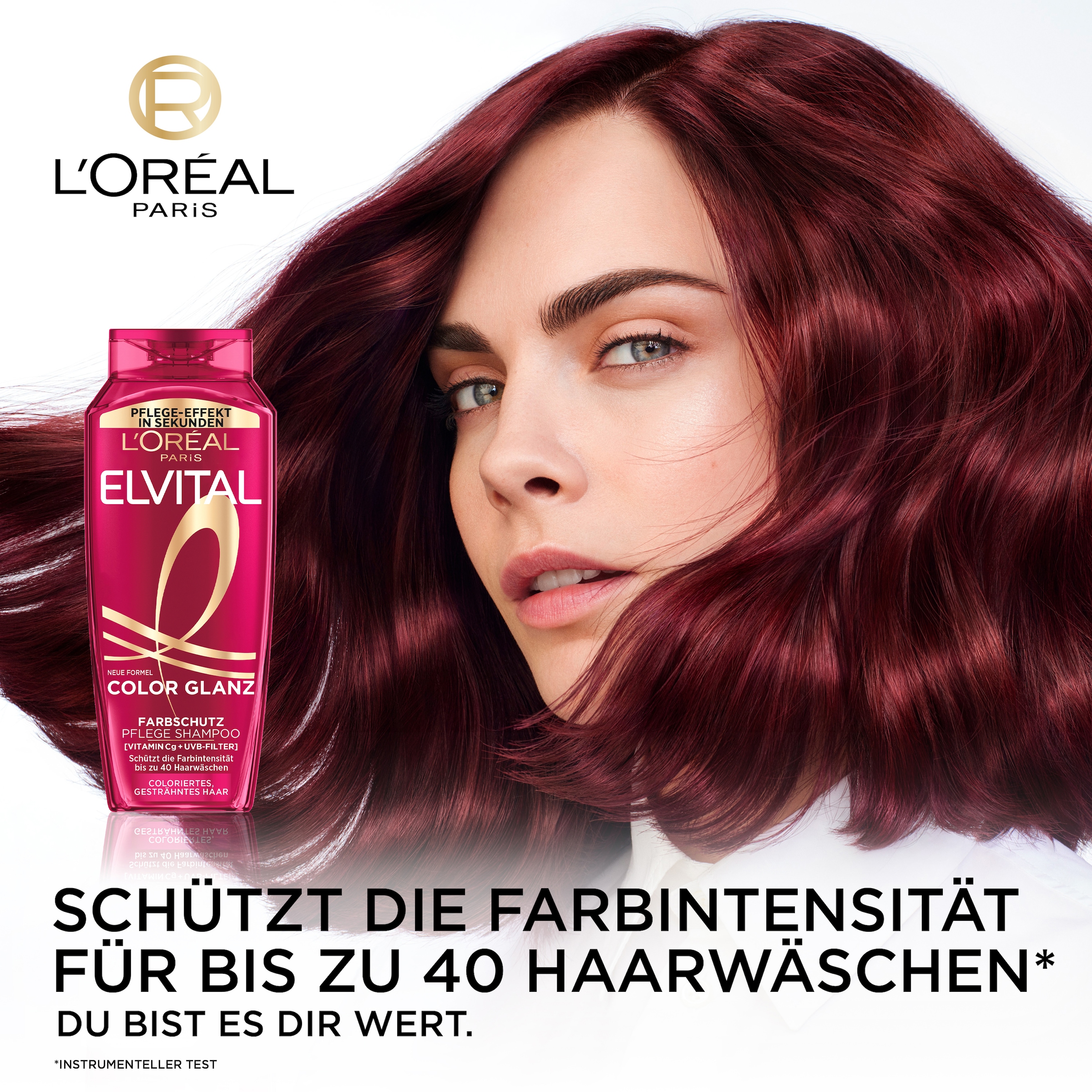 L'ORÉAL PARIS Haarshampoo »L'Oréal Paris Elvital Color Glanz Pflege Shampoo«, (Packung, 6 tlg.)