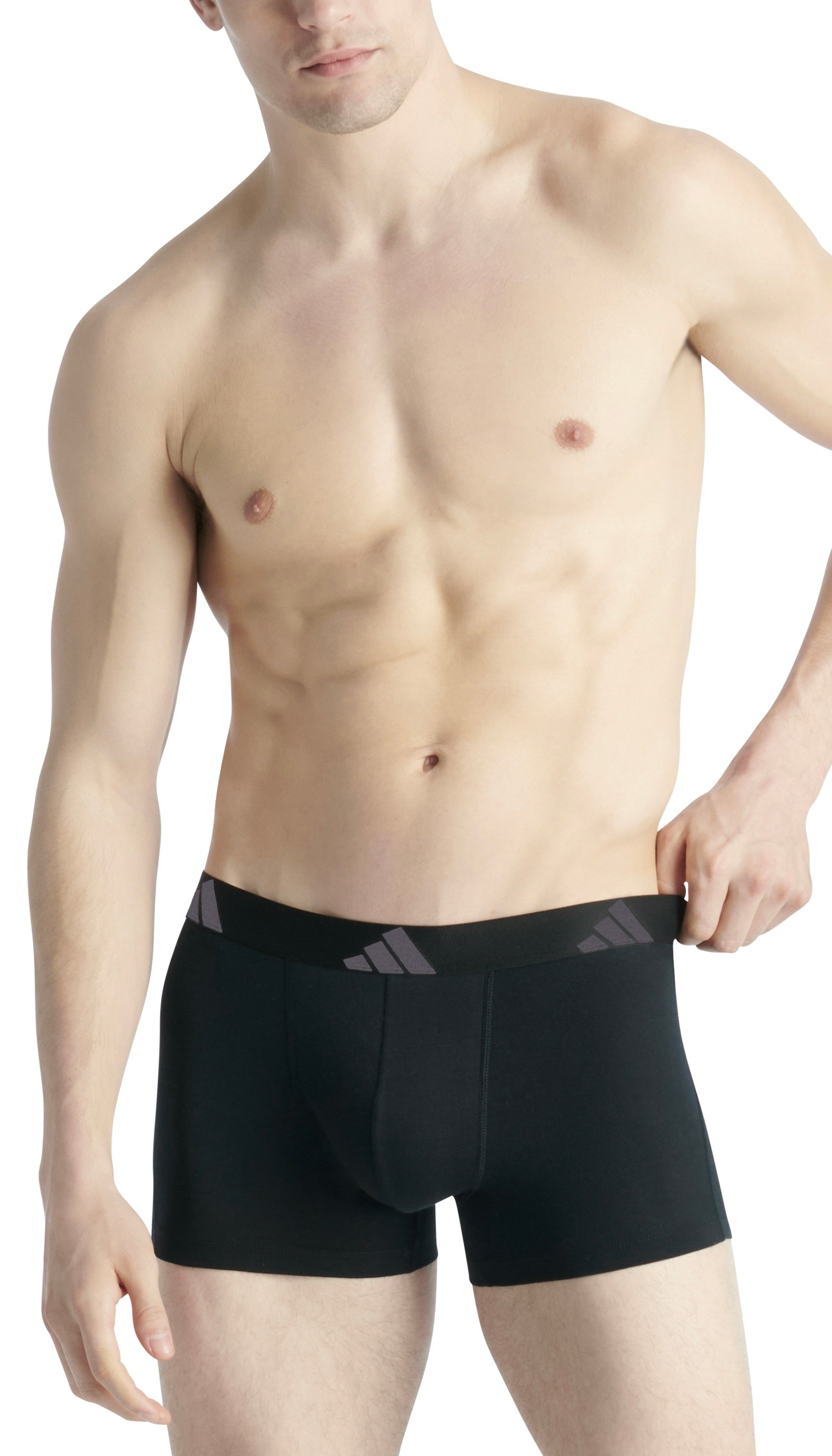 adidas Sportswear Trunk »Active Flex Cotton« 5er Pack,  Multipack, elastisch, Logo-Bund, ohne Eingriff