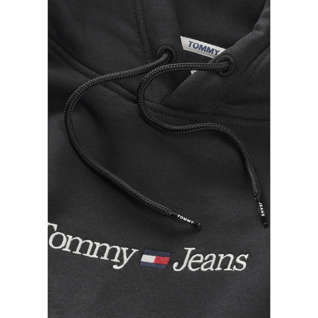 Tommy Jeans Kapuzensweatshirt »TJM REG LINEAR HOODIE«