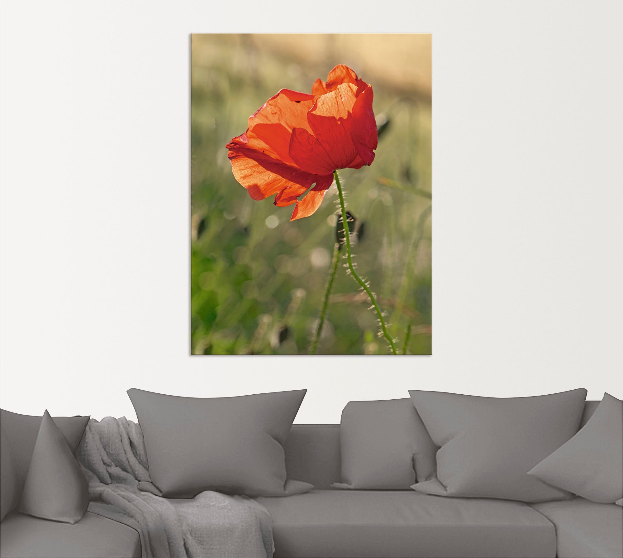 Artland Wandbild »Mohnblume«, Blumen, (1 St.), als Alubild, Outdoorbild in verschied. Größen