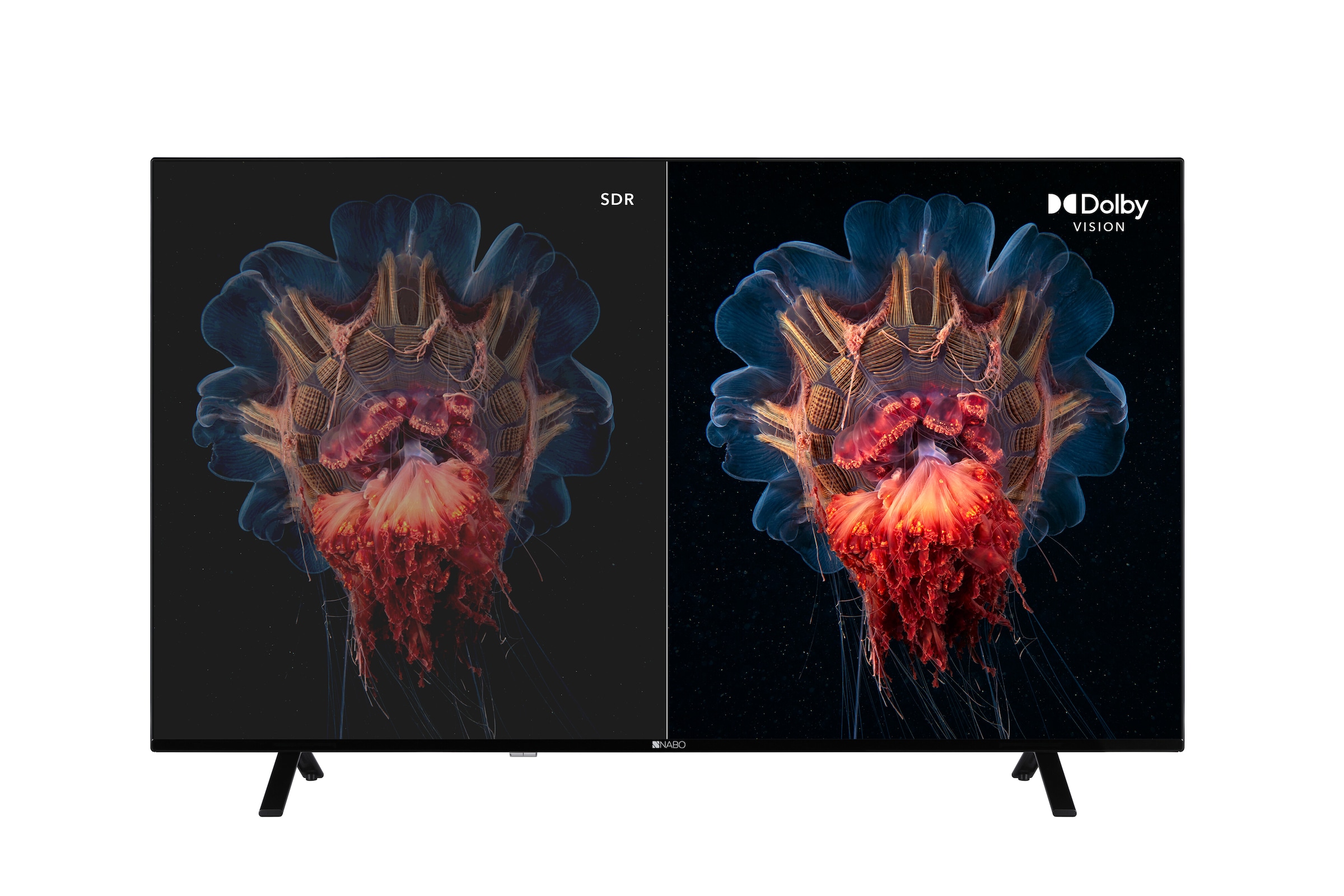 NABO DLED-Fernseher »65 KG6000«, 4K Ultra HD, Android TV