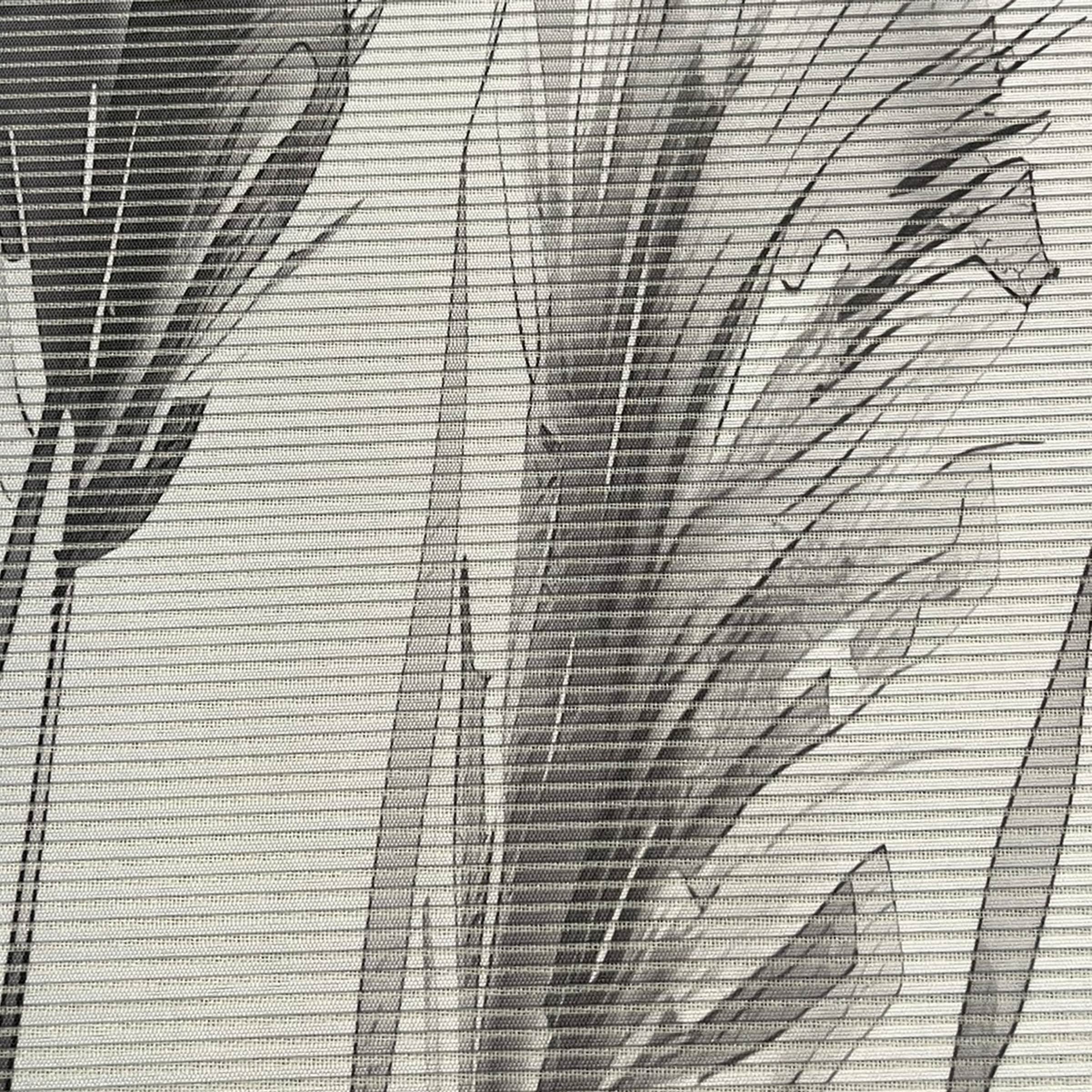 Vision S Schiebegardine »AUREA« Paneelwagen 1 Stk. tlg. digital bedruckt