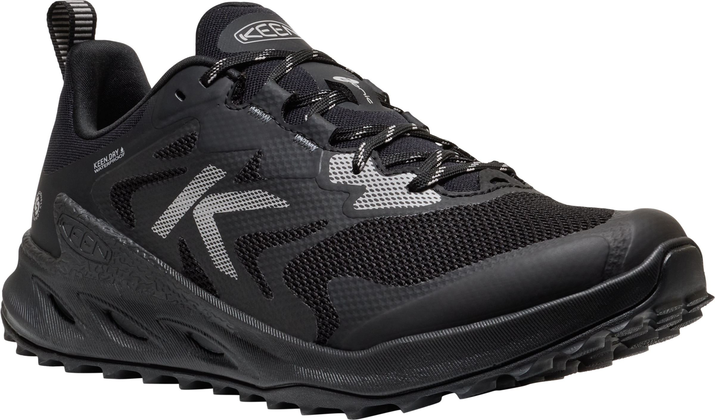 Keen Outdoorschuh »ZIONIC NXT WP«  wasserdicht