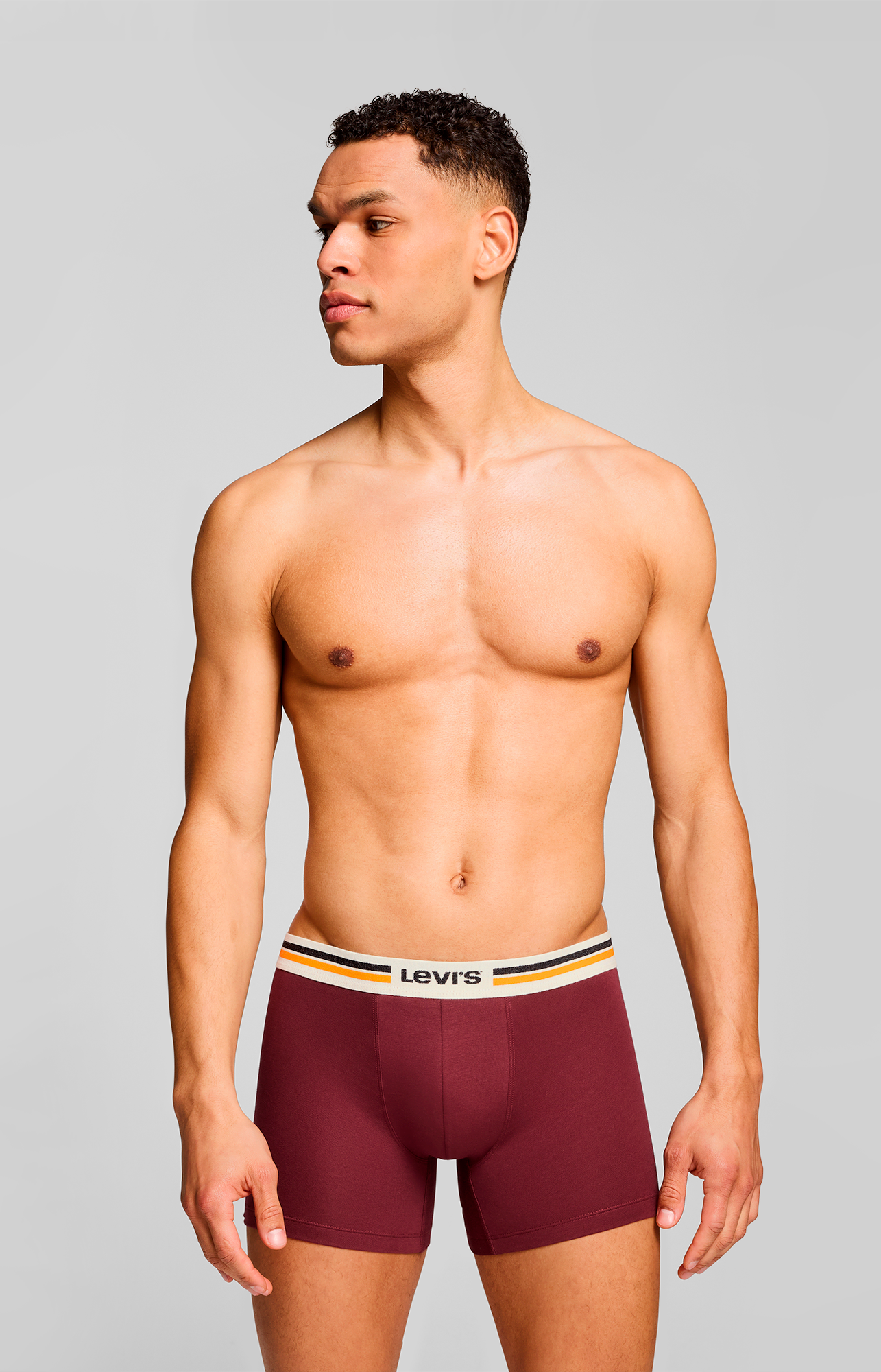 Levi's® Boxershorts »LEVIS MEN PL SPW LOGO BOXER BRIEF ORG 2P«, (2er Pack), mit breitem Logobund
