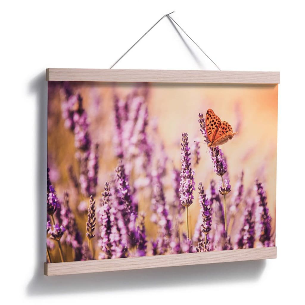 Wall-Art Poster »Schmetterling Lavendel«, Schmetterlinge, (Set, 1 St.)