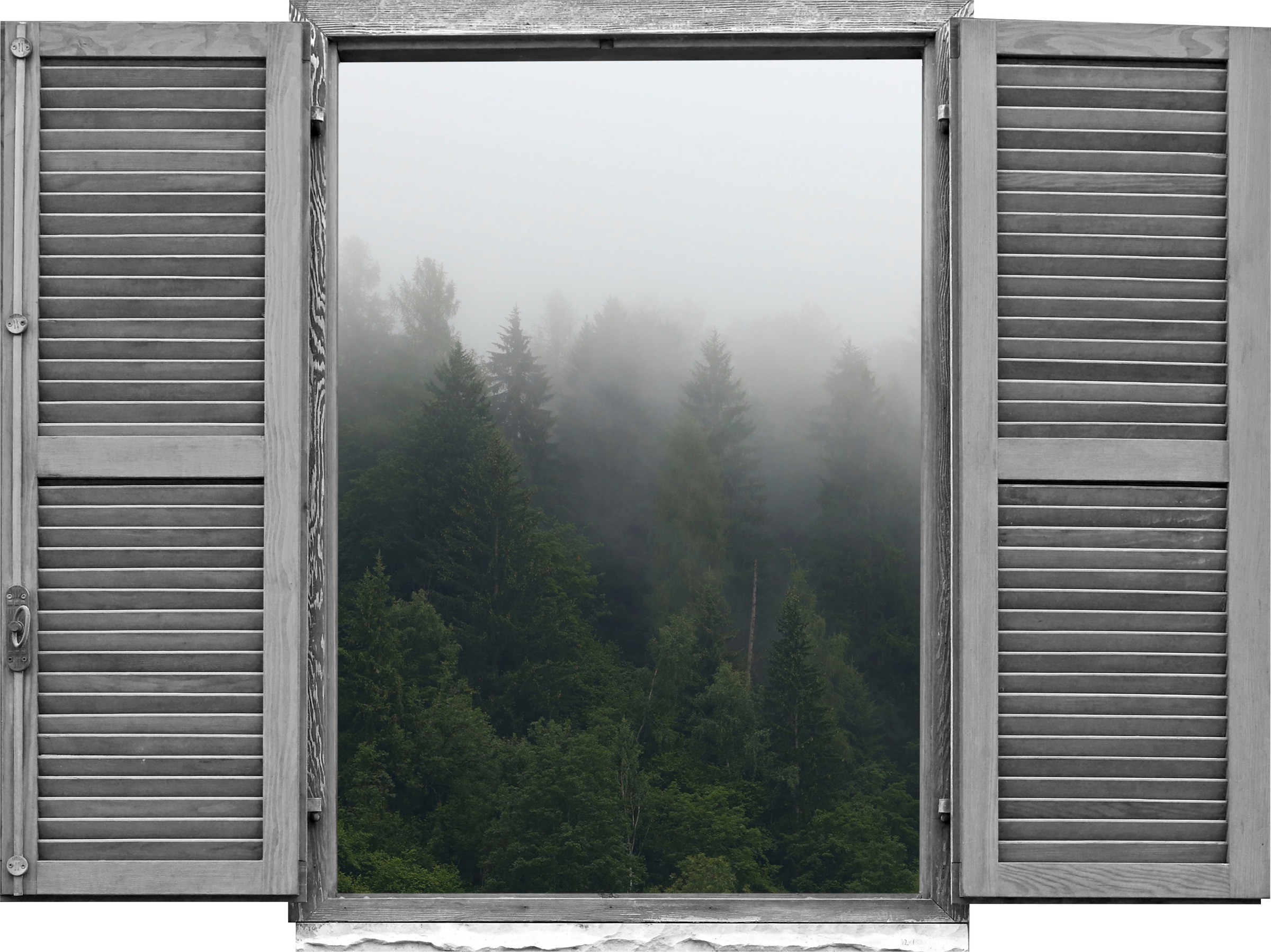 queence Wandtattoo »Wald«, (1 St.)