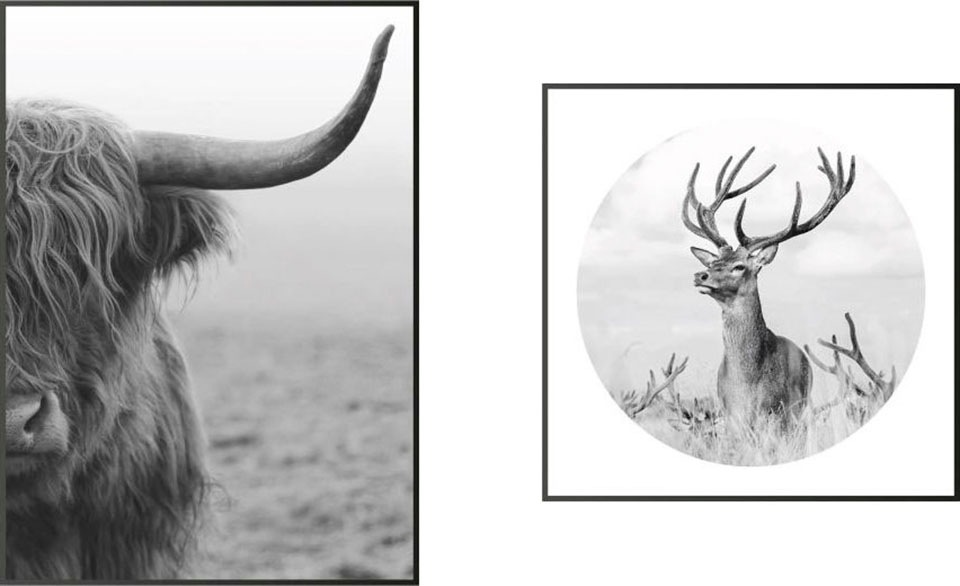 Reinders! Wandbild »Highlander Bulle und ein Hirsch Schwarz-Weiß - Wandbilder Set«, (Set)