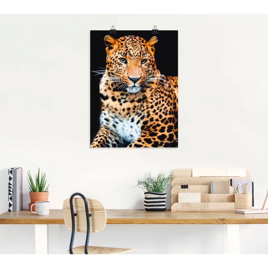 Artland Wandbild »Wütender wilder Leopard«, Wildtiere, (1 St.)