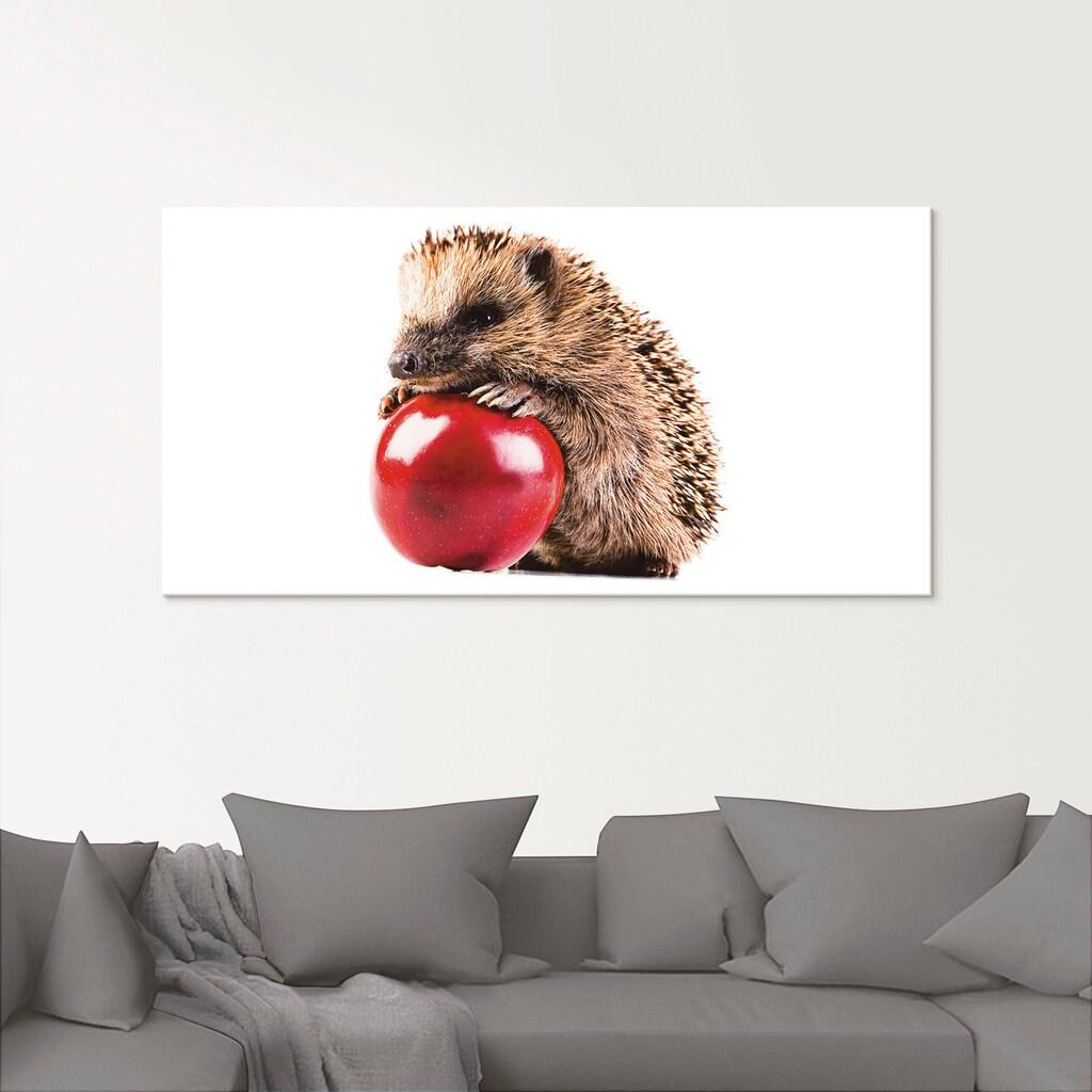 Artland Glasbild »Glücklicher Igel«, Wildtiere, (1 St.)