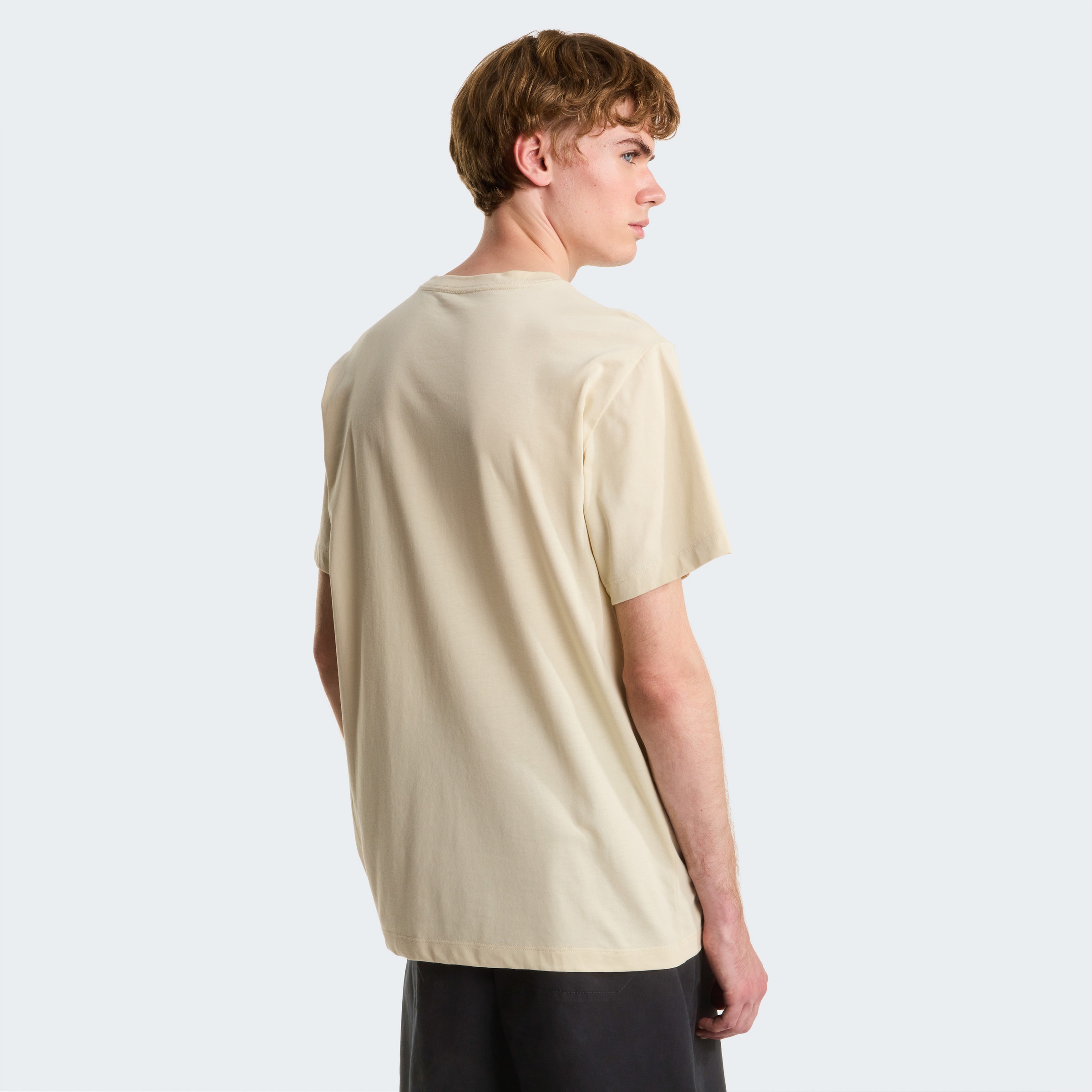The North Face T-Shirt »M EVOLUTION SIMPLE DOME REGULAR SHORT SL«
