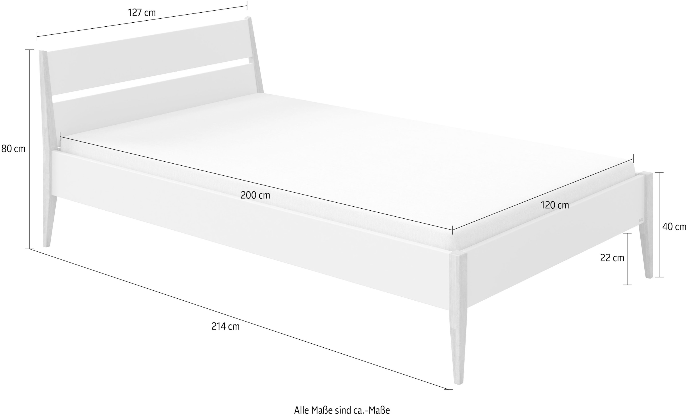 PAIDI Kinderbett »STIENE in verschiedenen Größen und Farben« 90/120/140x200cm - Beige, Grau, Eiche massiv,  Jugendbett mit Massivholz, pflegeleicht, langlebig, Jugendliege