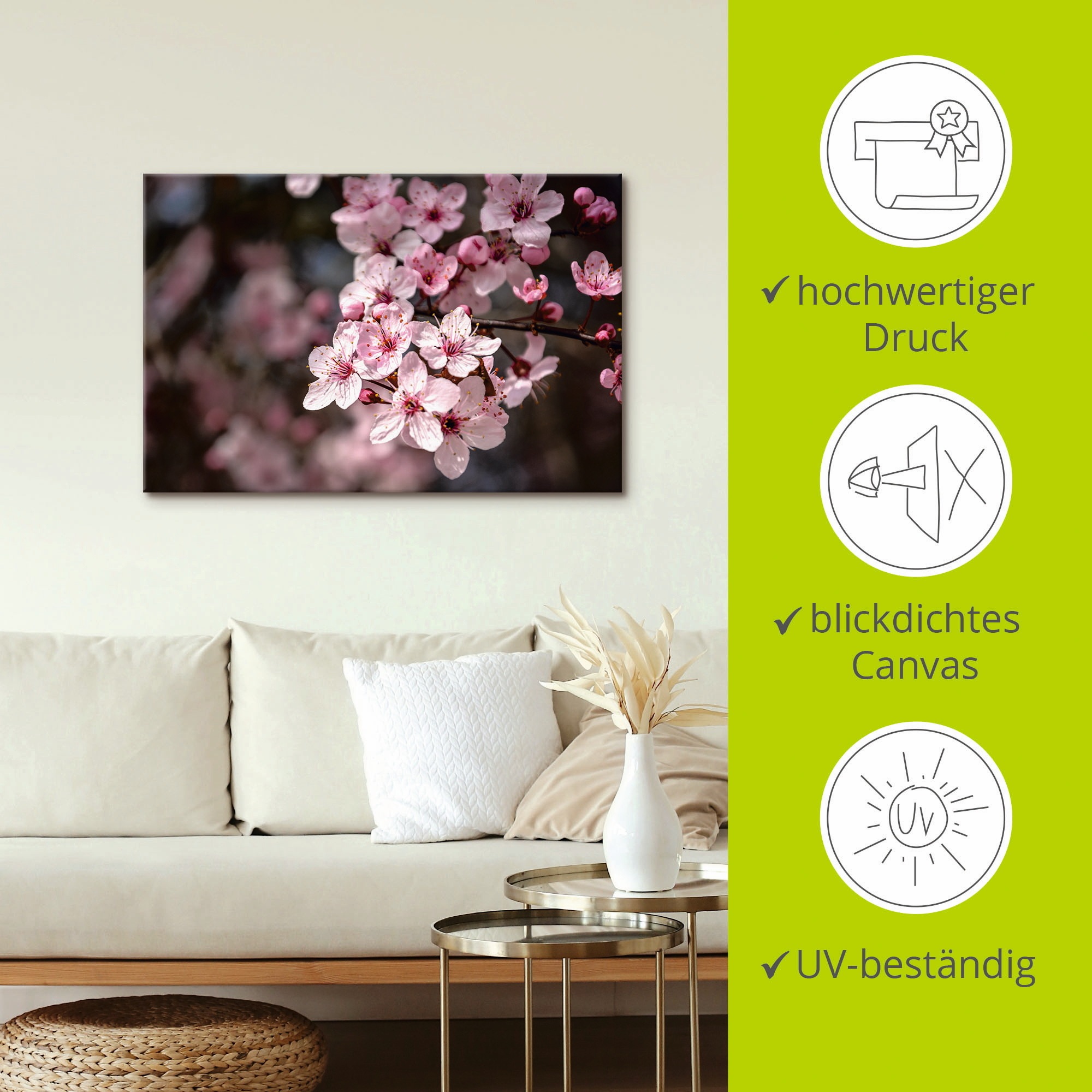 Artland Leinwandbild »Kirschblüten Nahaufnahme im Sonnenlicht«, Blumen, (1 St.), auf Keilrahmen gespannt