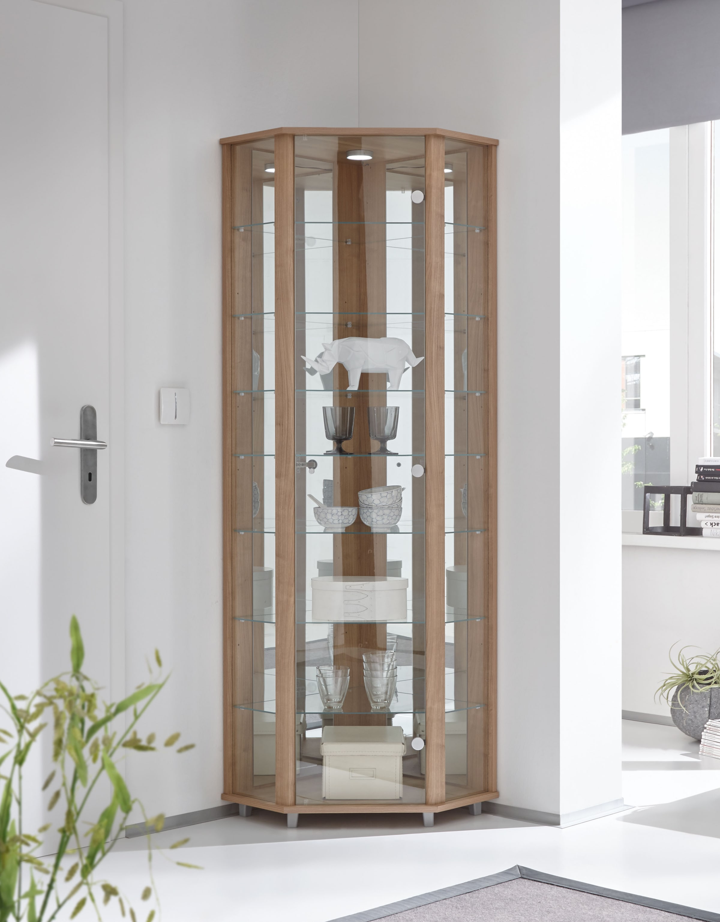 fif möbel Eckvitrine »TRIO Höhe ca. 172 cm, ink. Beleuchtung«, Eckvitrine/Glasvitrine 1x Glastür, perfekt für Sammler, Sammlervitrine